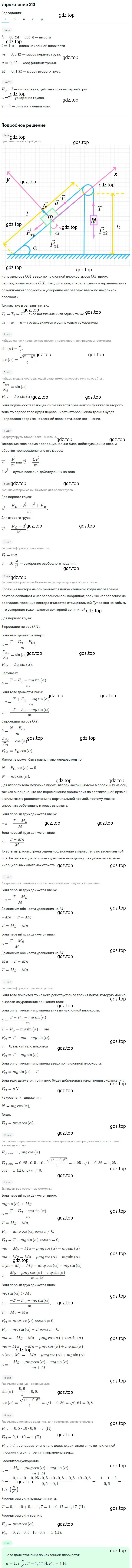 Решение 2. номер 313 (страница 46) гдз по физике 10-11 класс Рымкевич, задачник