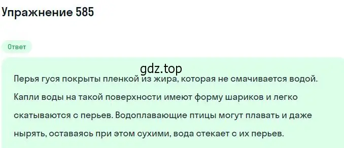 Решение 2. номер 585 (страница 78) гдз по физике 10-11 класс Рымкевич, задачник