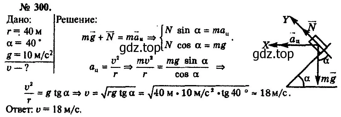 Решение 3. номер 300 (страница 44) гдз по физике 10-11 класс Рымкевич, задачник