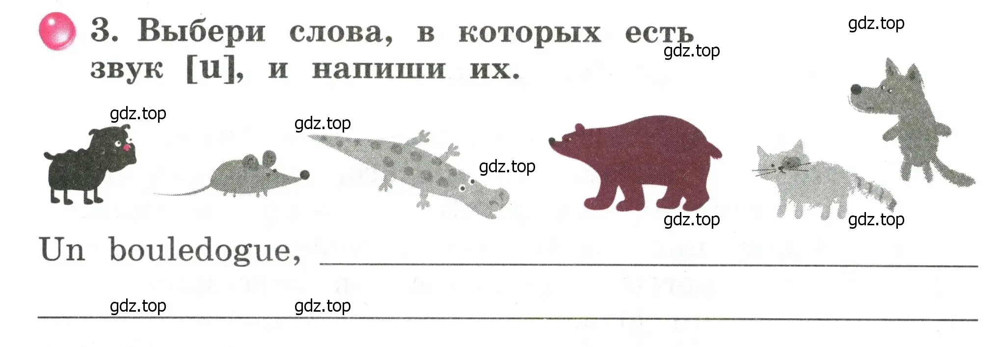 Условие номер 3 (страница 19) гдз по французскому языку 2 класс Кулигина, Корчагина, рабочая тетрадь