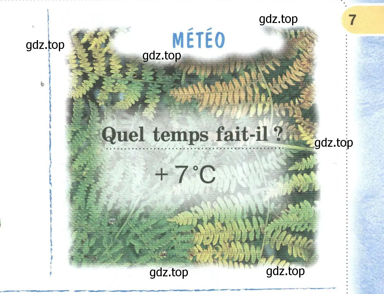 Условие номер METEO (страница 7) гдз по французскому языку 2 класс Кулигина, Кирьянова, учебник