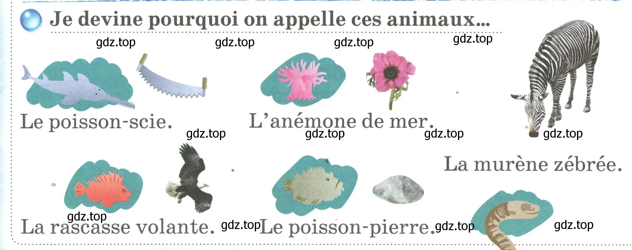 Условие номер Je devine pourquoi on appelle ces animaux... (страница 74) гдз по французскому языку 2 класс Кулигина, Кирьянова, учебник