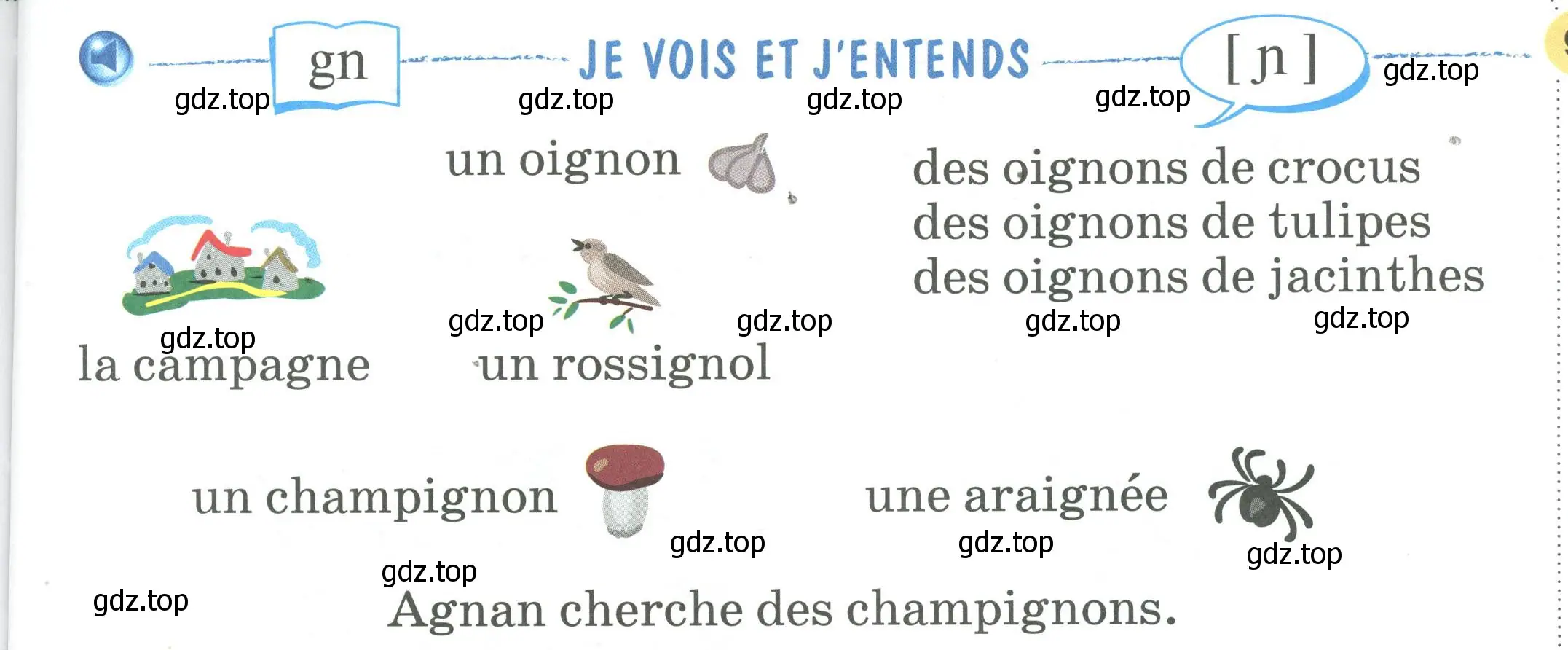 Условие номер JE VOIS ET J'ENTENDS (страница 91) гдз по французскому языку 2 класс Кулигина, Кирьянова, учебник