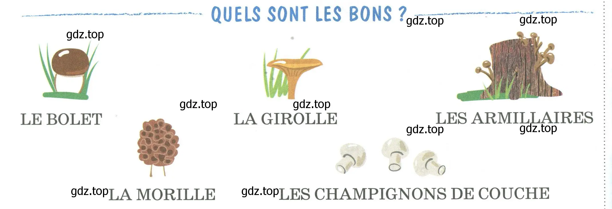 Условие номер QUELS SONT LES BONS ? (страница 91) гдз по французскому языку 2 класс Кулигина, Кирьянова, учебник