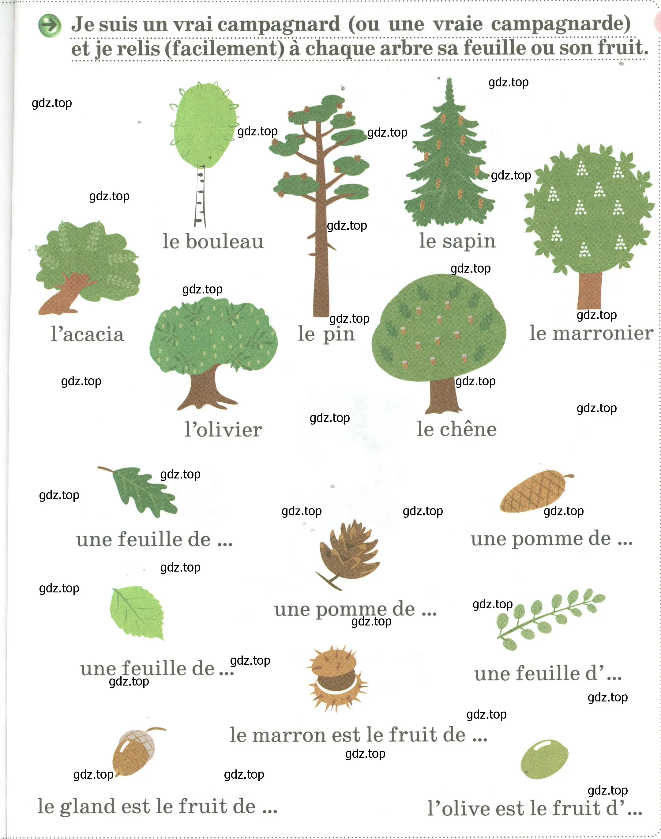 Условие номер Je suis un vrai campagnard (ou une vraie campagnarde) 93 et je relis (faciiement) a chaque arbre sa. feuule ou son fruit (страница 93) гдз по французскому языку 2 класс Кулигина, Кирьянова, учебник