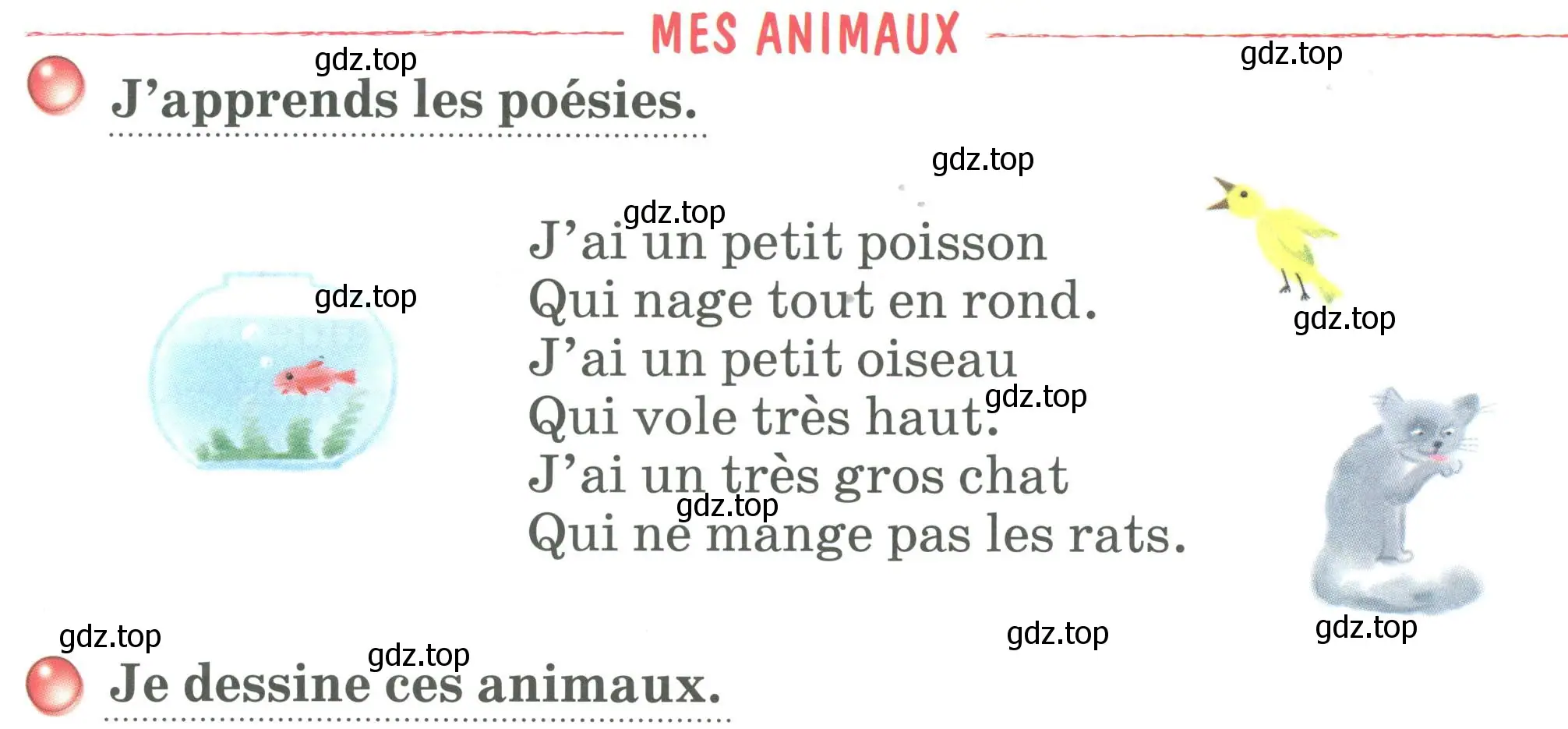 Условие номер MES ANIMAUX (страница 122) гдз по французскому языку 2 класс Кулигина, Кирьянова, учебник