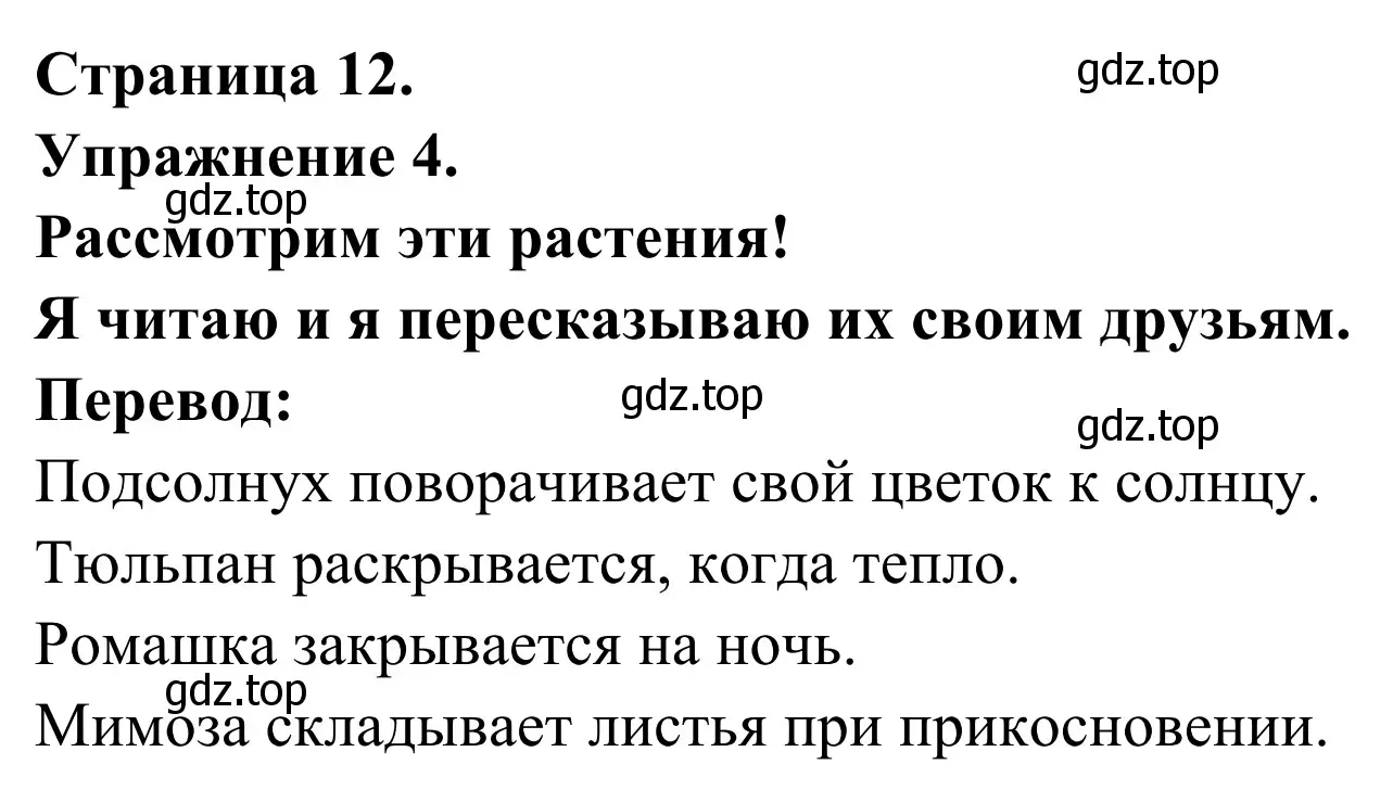 Решение номер 4 (страница 12) гдз по французскому языку 3 класс Кулигин, Корчагина, рабочая тетрадь