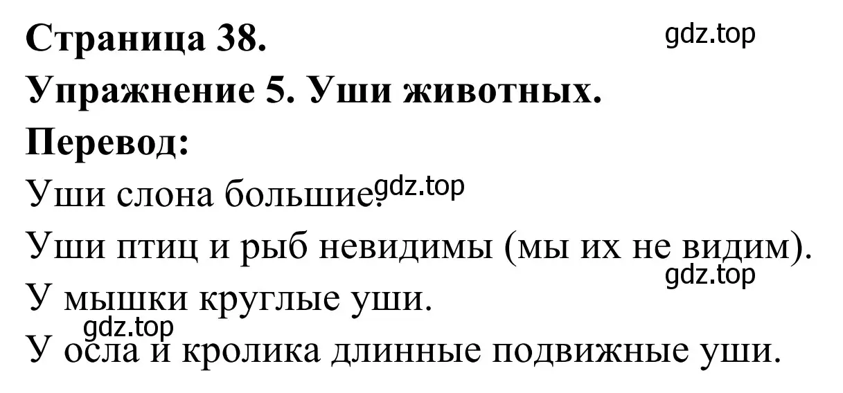 Решение номер 5 (страница 38) гдз по французскому языку 3 класс Кулигин, Корчагина, рабочая тетрадь