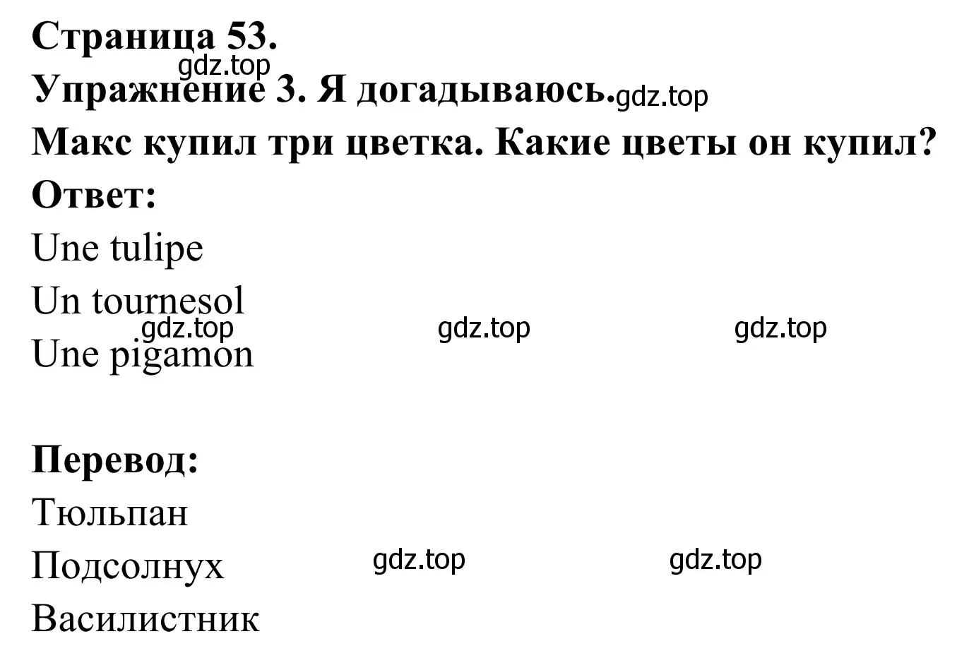 Решение номер 3 (страница 53) гдз по французскому языку 3 класс Кулигин, Корчагина, рабочая тетрадь