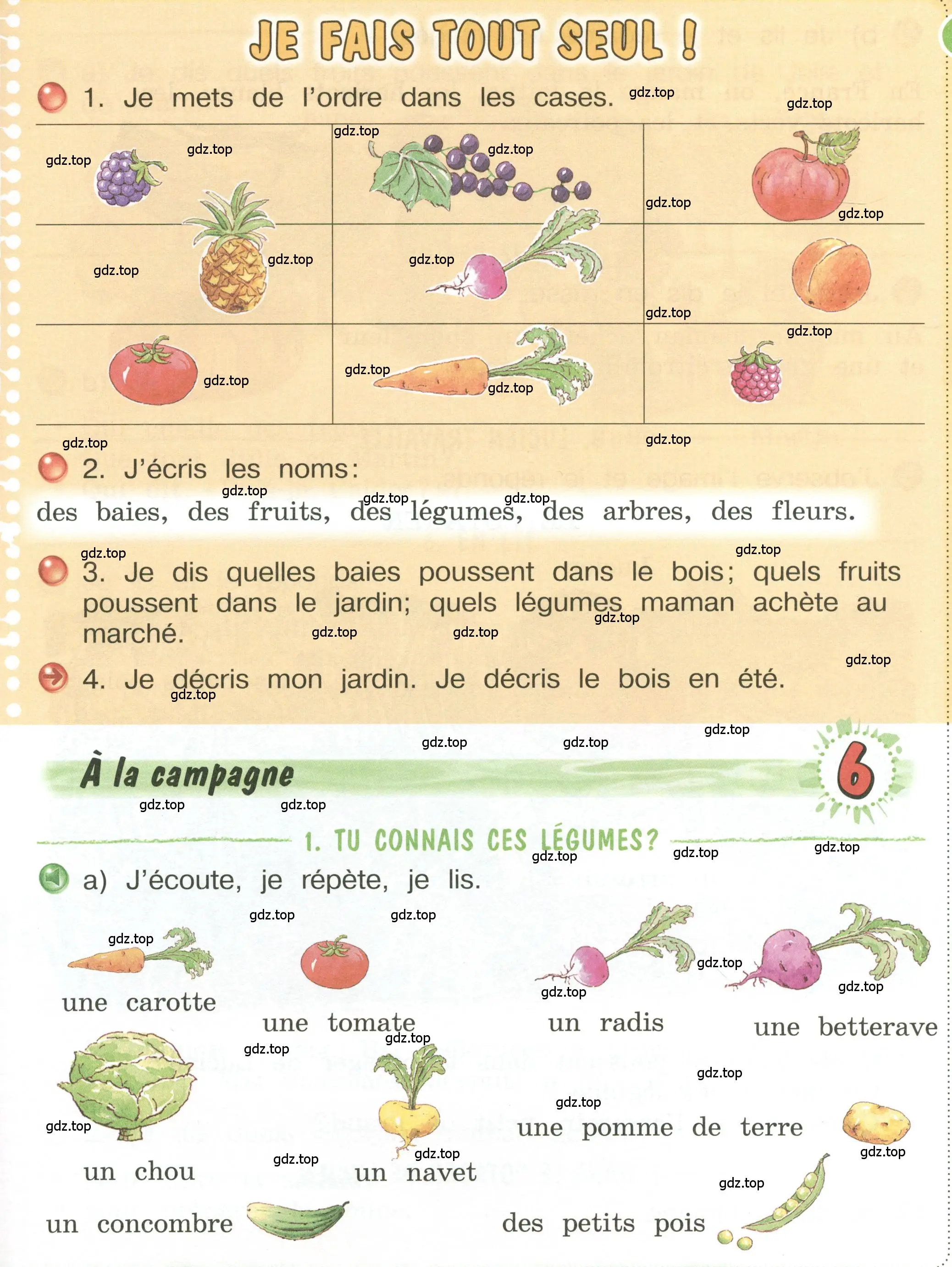 Условие  17 (страница 17) гдз по французскому языку 3 класс Кулигин, Кирьянова, учебник 1 часть