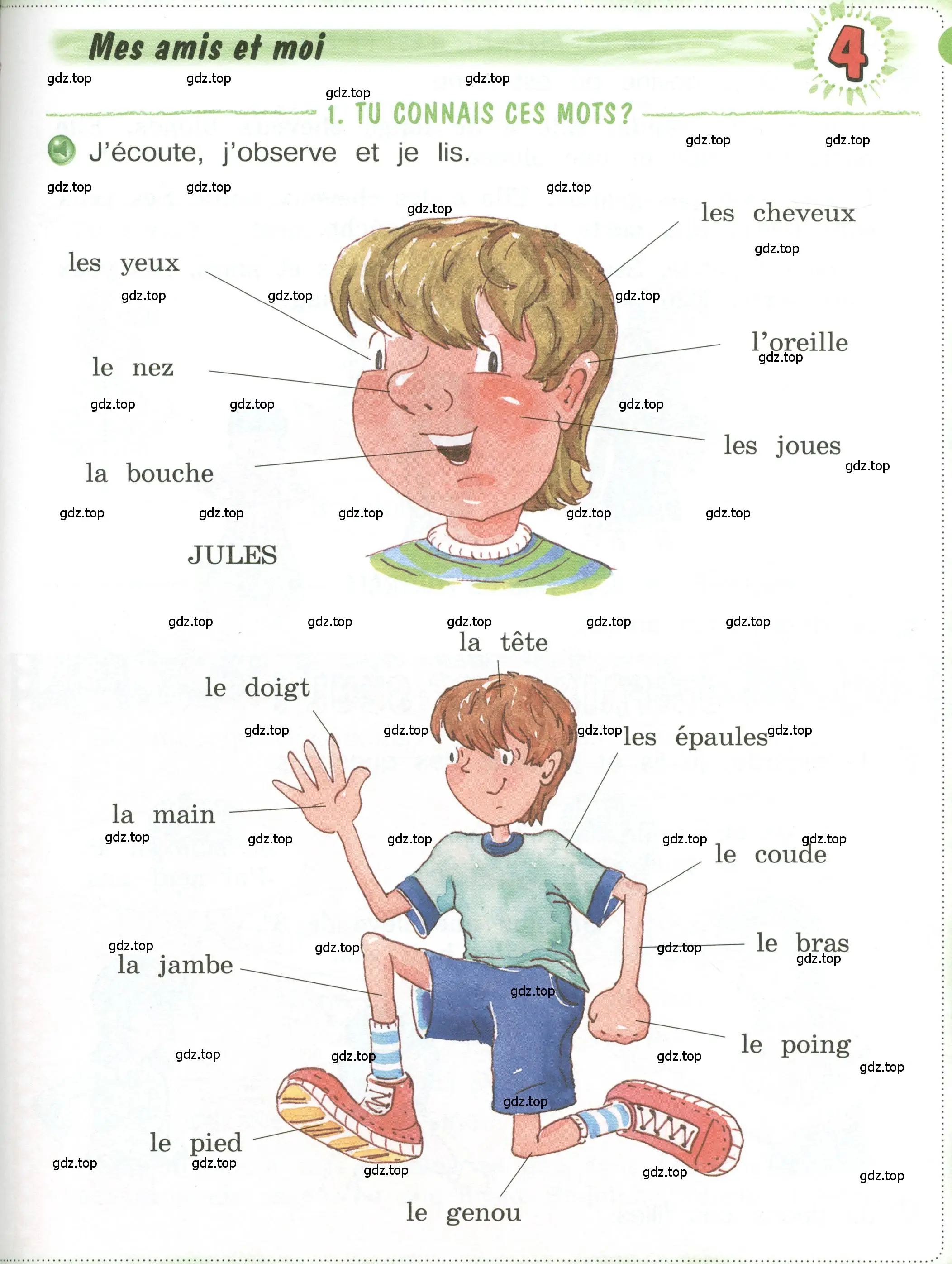 Условие  53 (страница 53) гдз по французскому языку 3 класс Кулигин, Кирьянова, учебник 2 часть