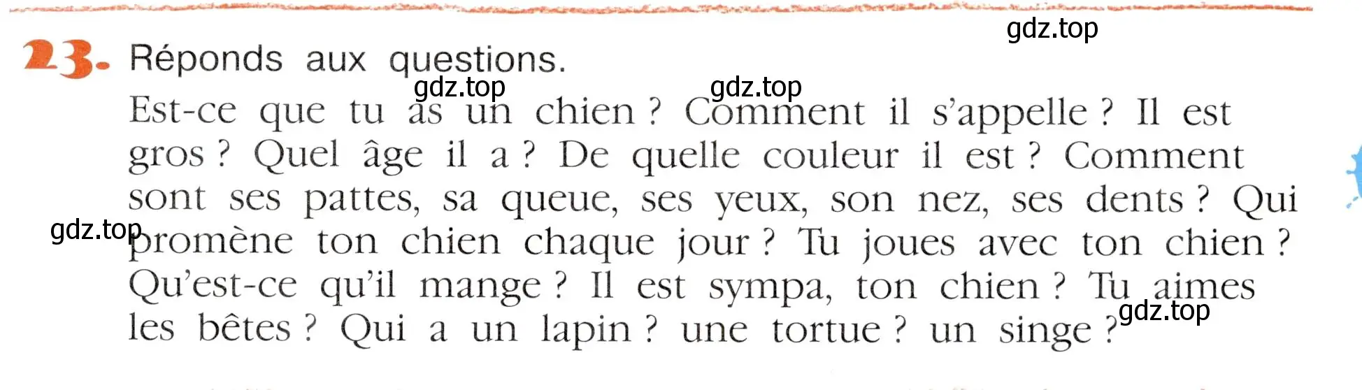 Условие номер 23 (страница 37) гдз по французскому языку 5 класс Береговская, Белосельская, учебник 2 часть