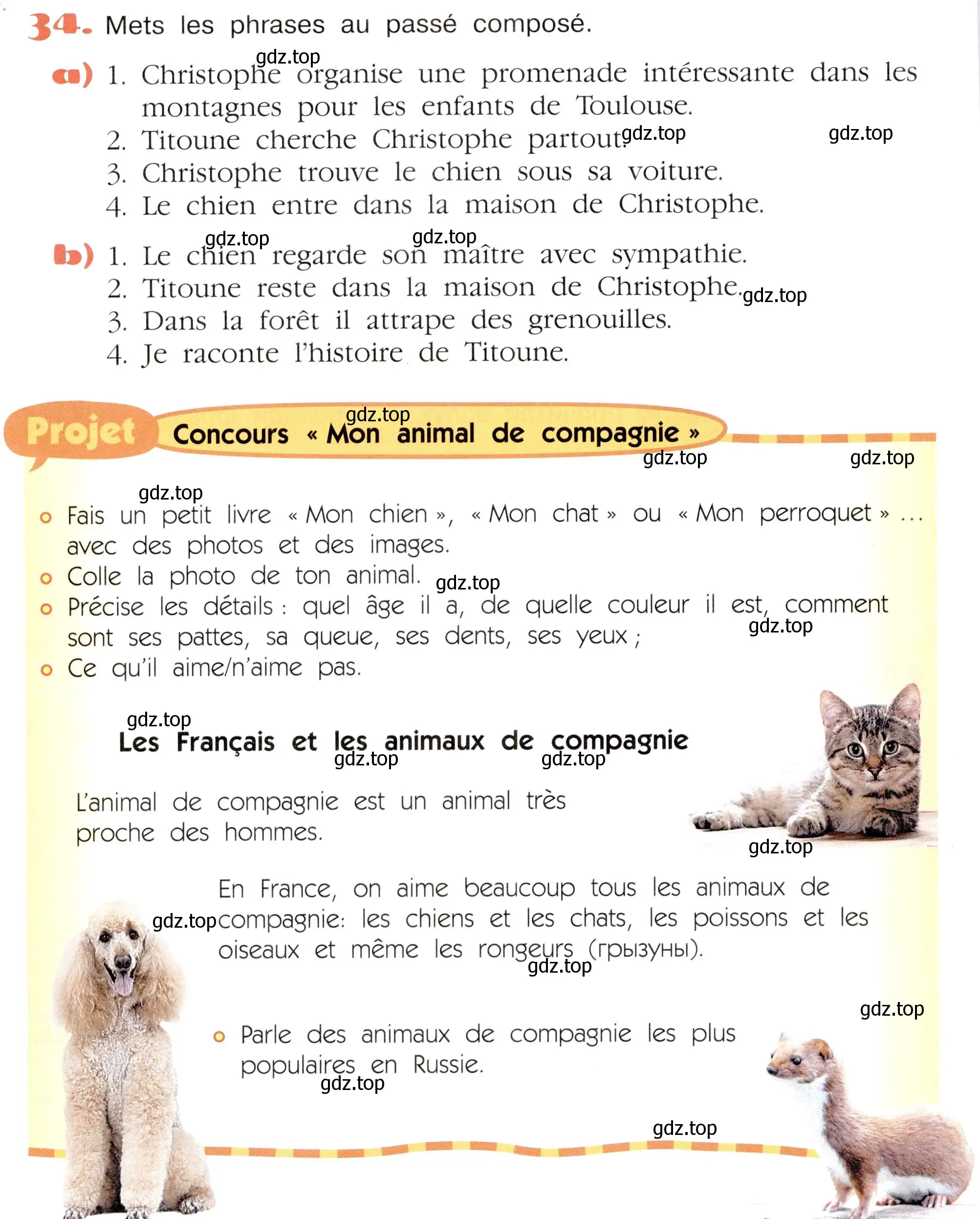 Условие номер 34 (страница 42) гдз по французскому языку 5 класс Береговская, Белосельская, учебник 2 часть