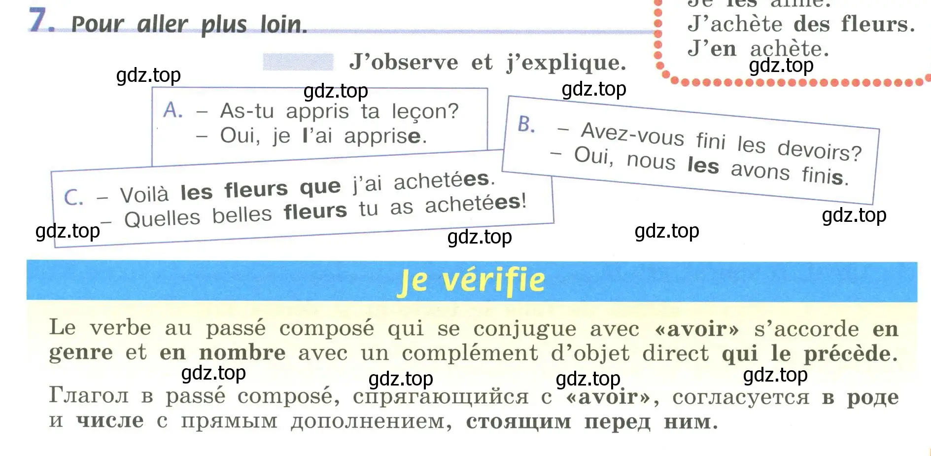 Условие номер 7 (страница 21) гдз по французскому языку 6 класс Кулигина, Щепилова, учебник