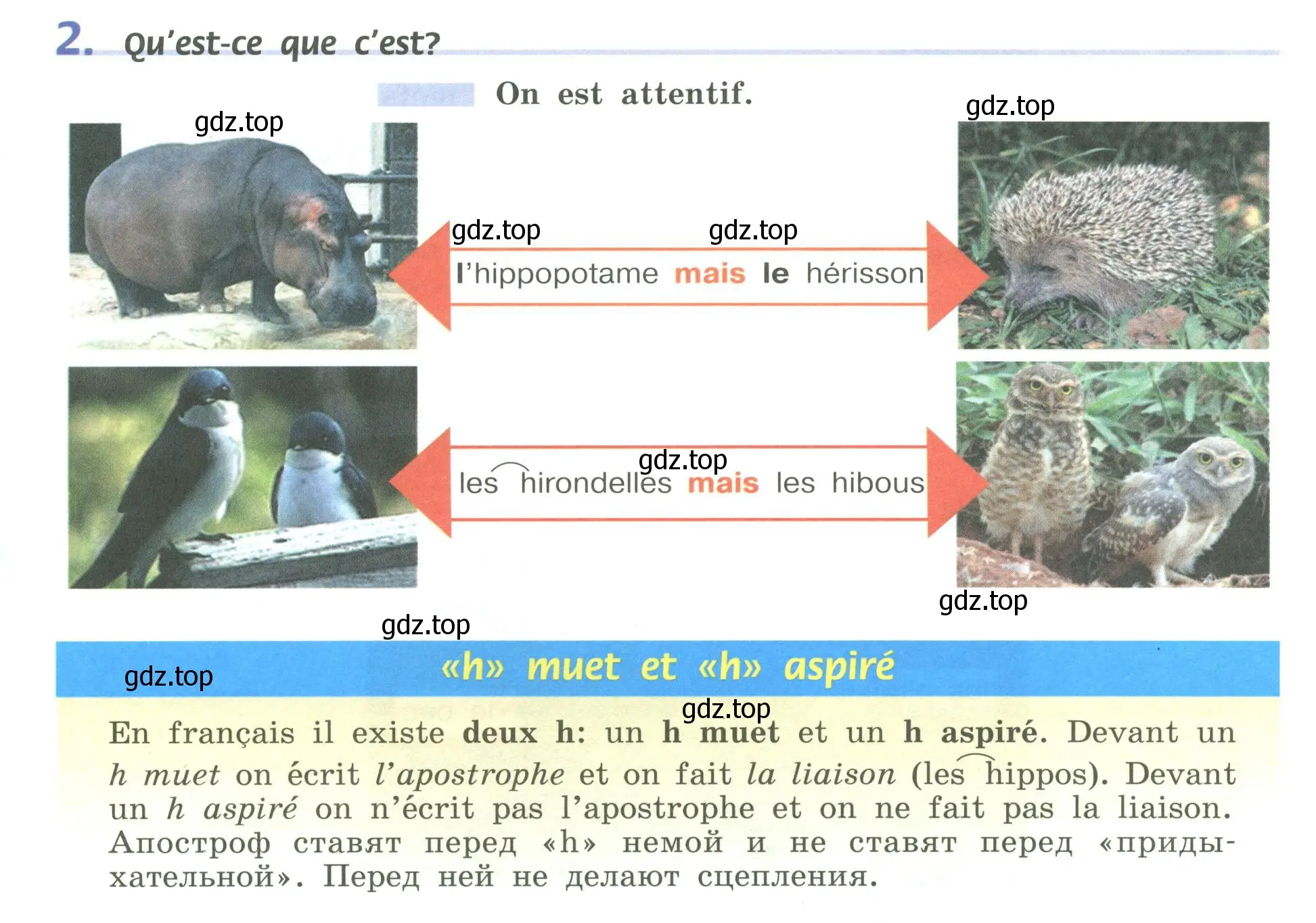 Условие номер 2 (страница 184) гдз по французскому языку 6 класс Кулигина, Щепилова, учебник