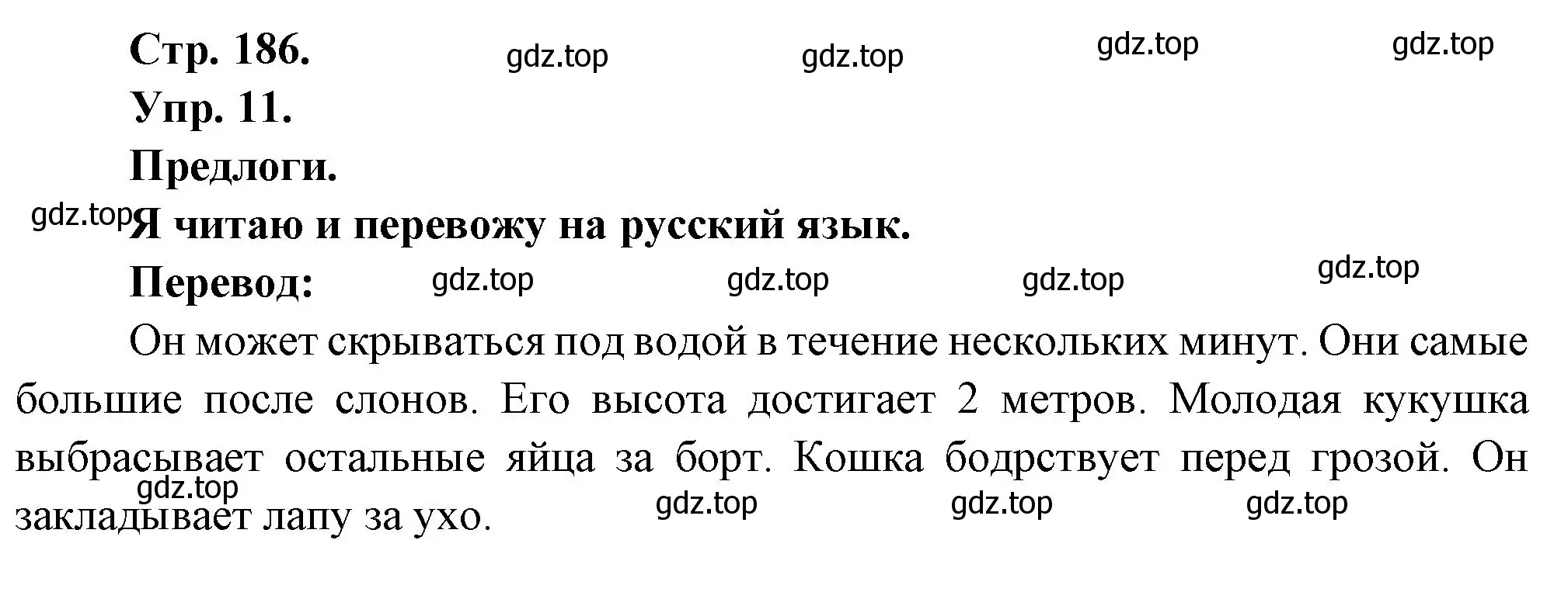 Решение номер 11 (страница 186) гдз по французскому языку 6 класс Кулигина, Щепилова, учебник