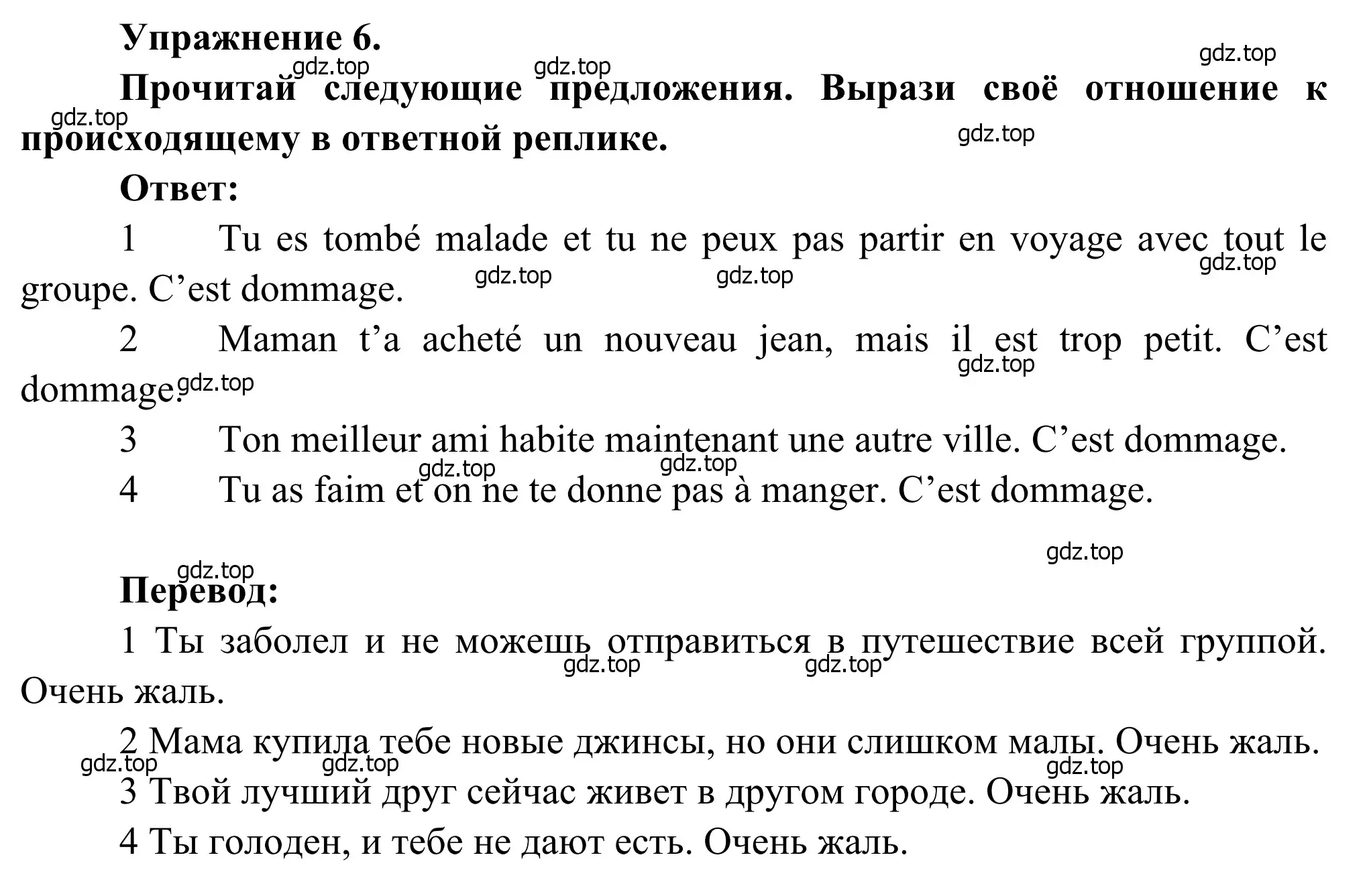 Решение номер 6 (страница 61) гдз по французскому языку 6 класс Селиванова, Шашурина, учебник 1 часть