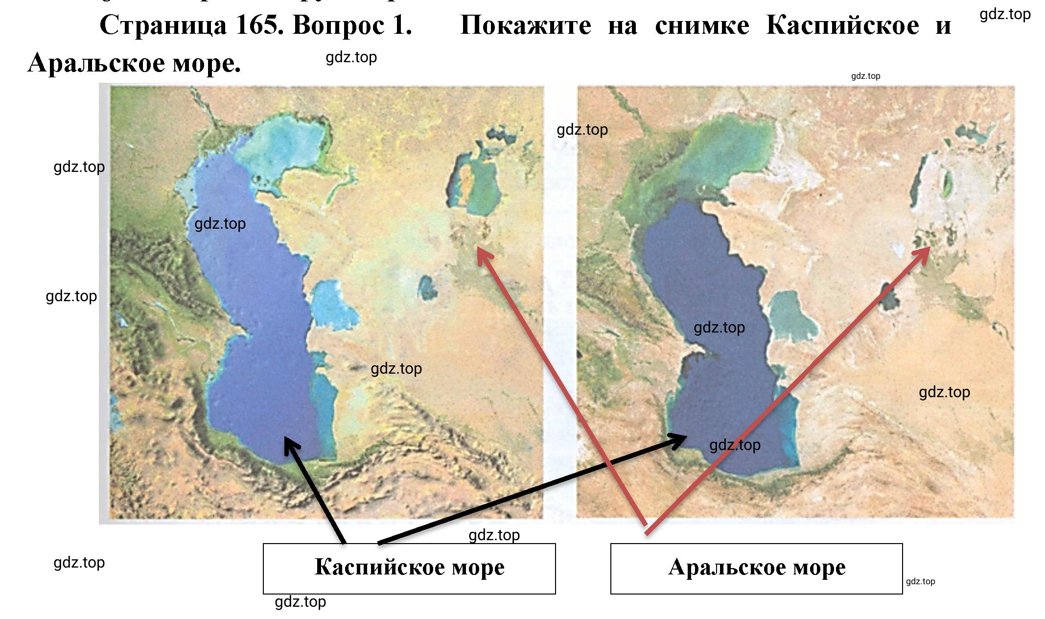 Решение номер 1 (страница 165) гдз по географии 5-6 класс Климанова, Климанов, учебник