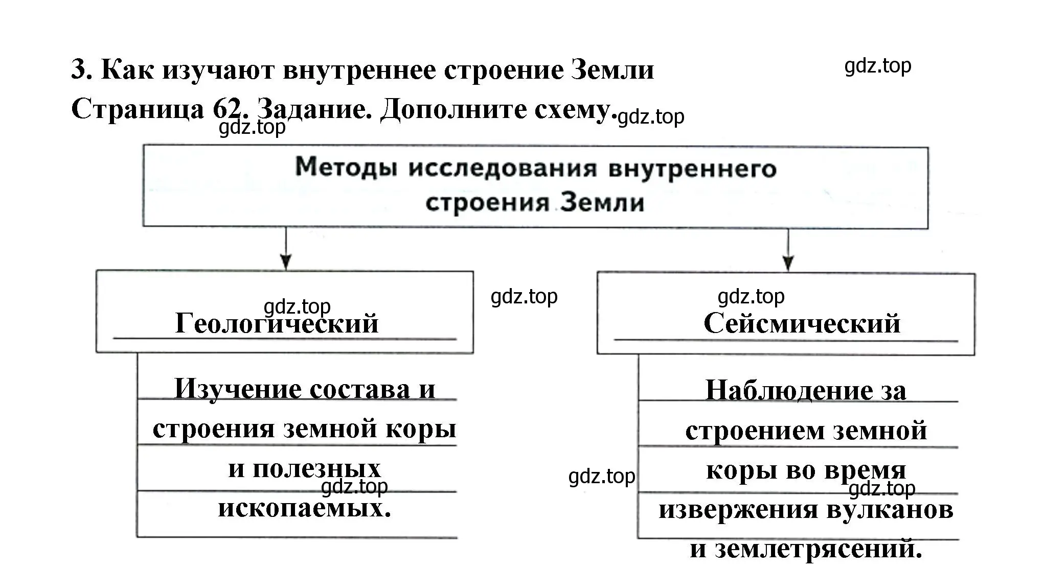 Решение номер 3 (страница 62) гдз по географии 5 класс Летягин, дневник географа-следопыта