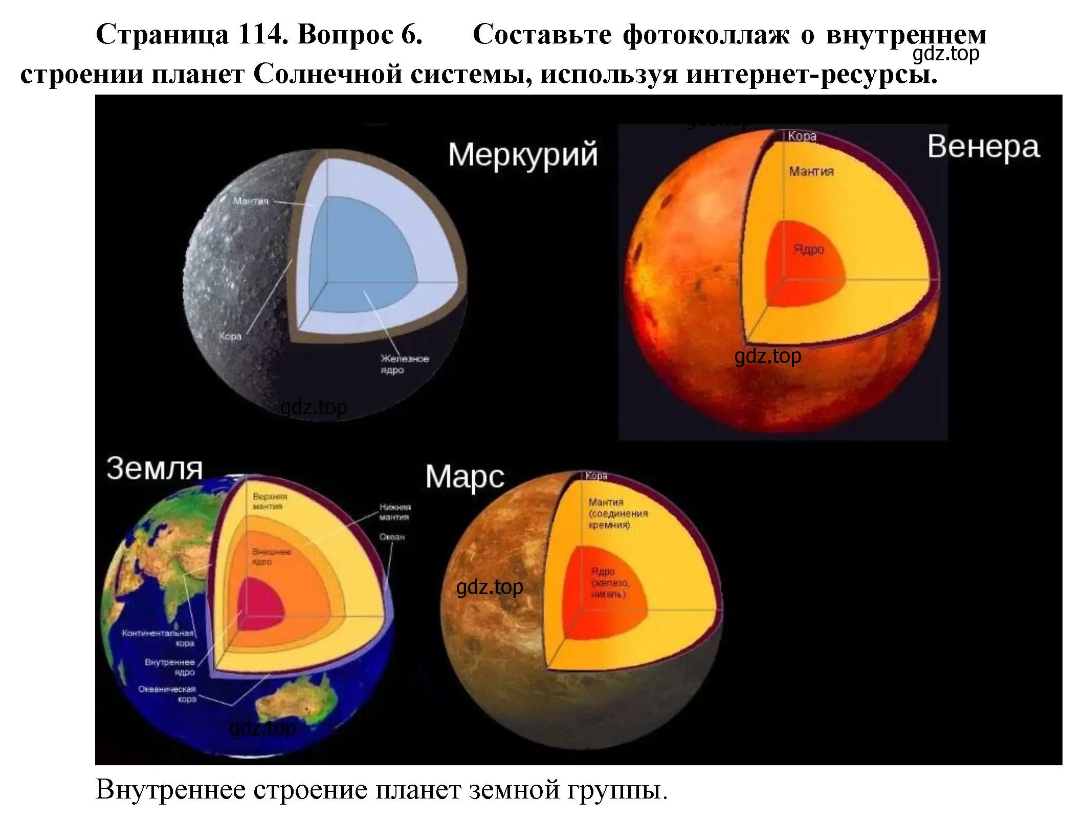 Решение номер 6 (страница 114) гдз по географии 5 класс Летягин, учебник