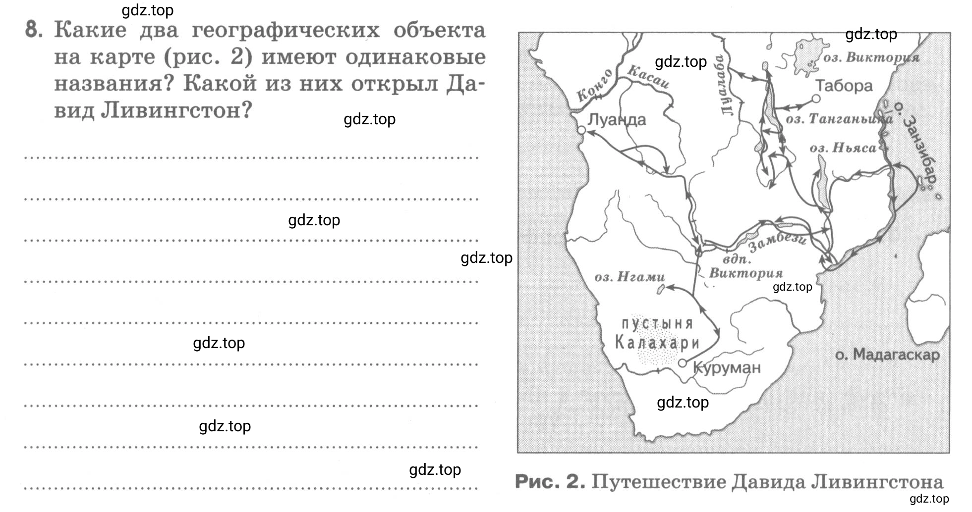 Условие номер 8 (страница 11) гдз по географии 5 класс Румянцев, Ким, рабочая тетрадь