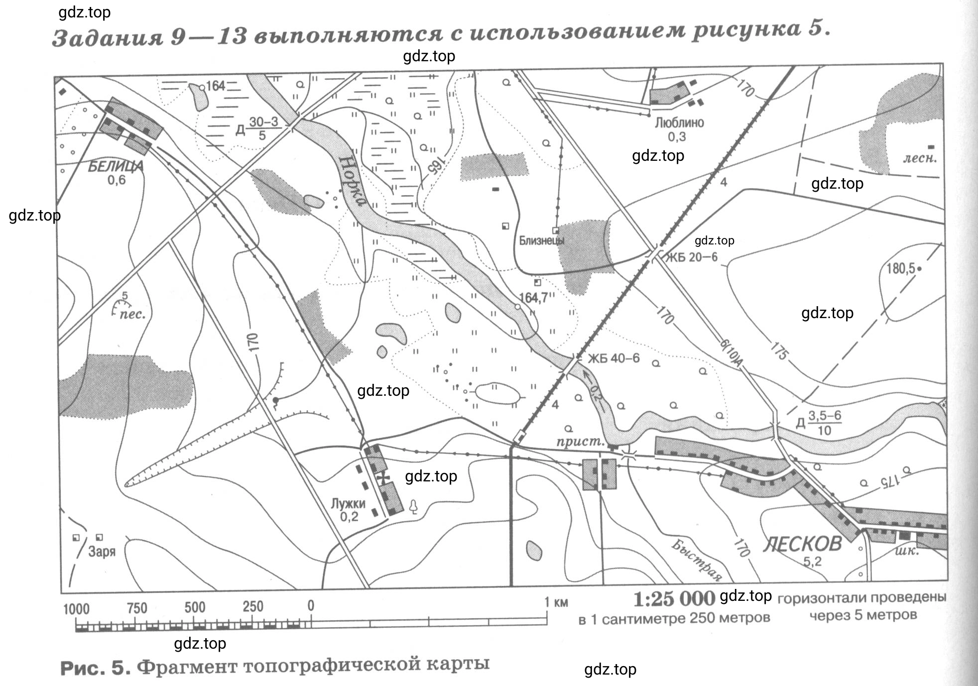 Условие номер 9 (страница 39) гдз по географии 5 класс Румянцев, Ким, рабочая тетрадь