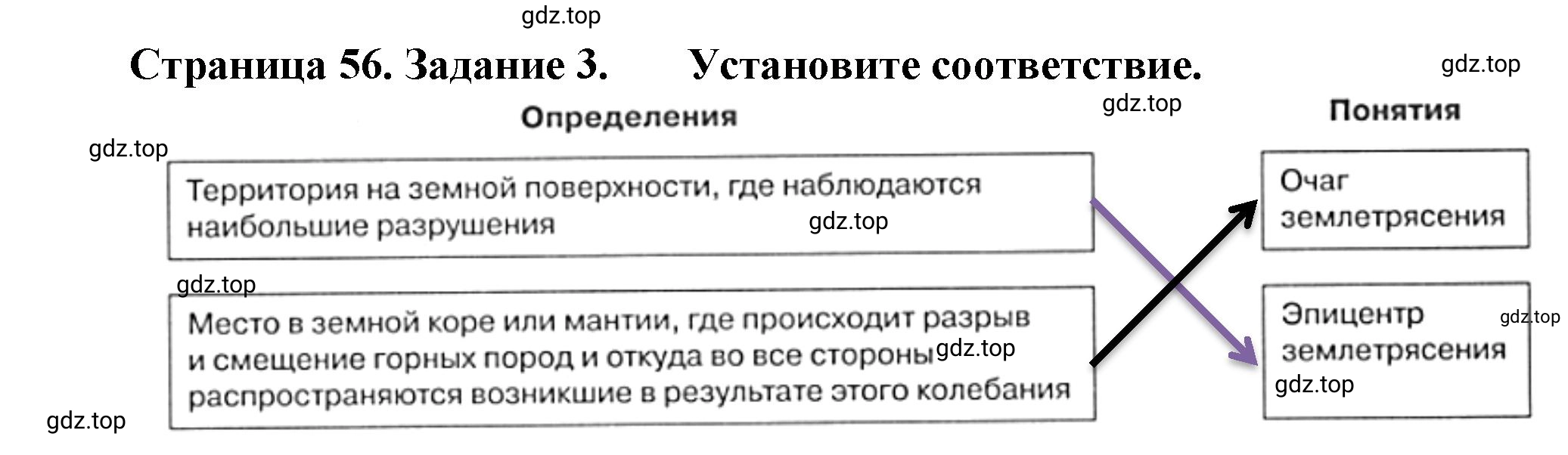 Решение номер 3 (страница 56) гдз по географии 5 класс Румянцев, Ким, рабочая тетрадь