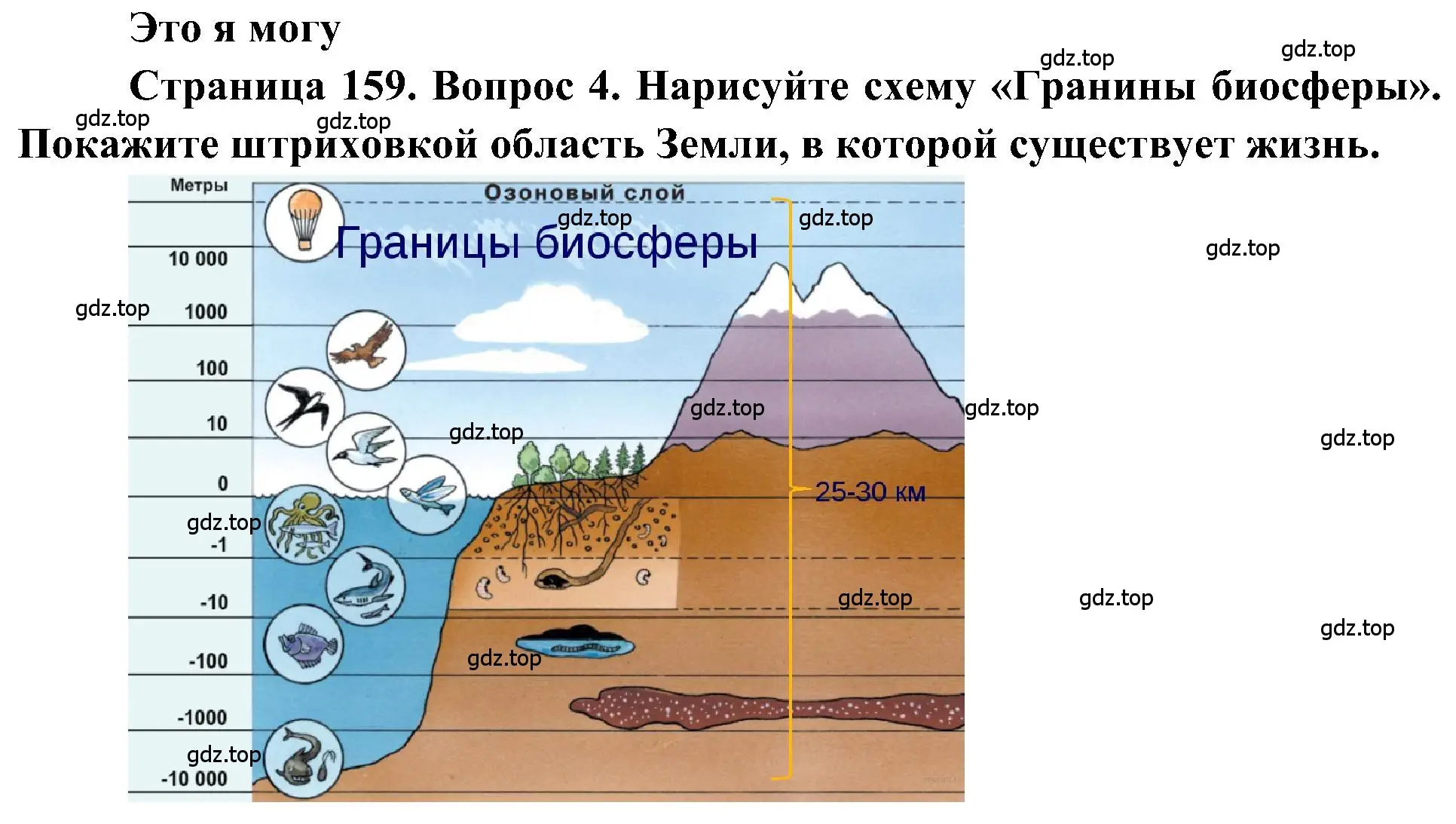 Решение номер 4 (страница 159) гдз по географии 5-6 класс Алексеев, Николина, учебная хрестоматия