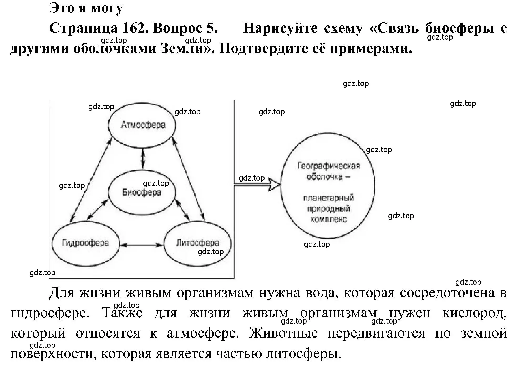 Решение номер 5 (страница 162) гдз по географии 5-6 класс Алексеев, Николина, учебная хрестоматия