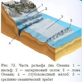 Используя текст параграфа и рисунок 73, расскажите об особенностях строения дна Океана