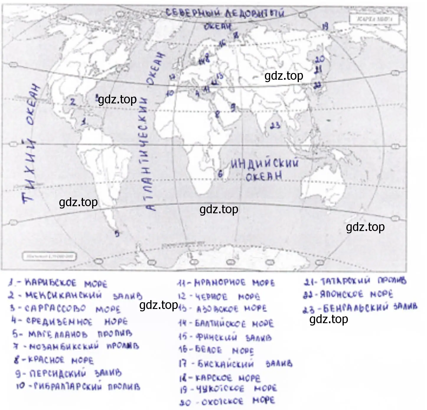 Нанесите на контурную карту все океаны, моря, заливы, проливы