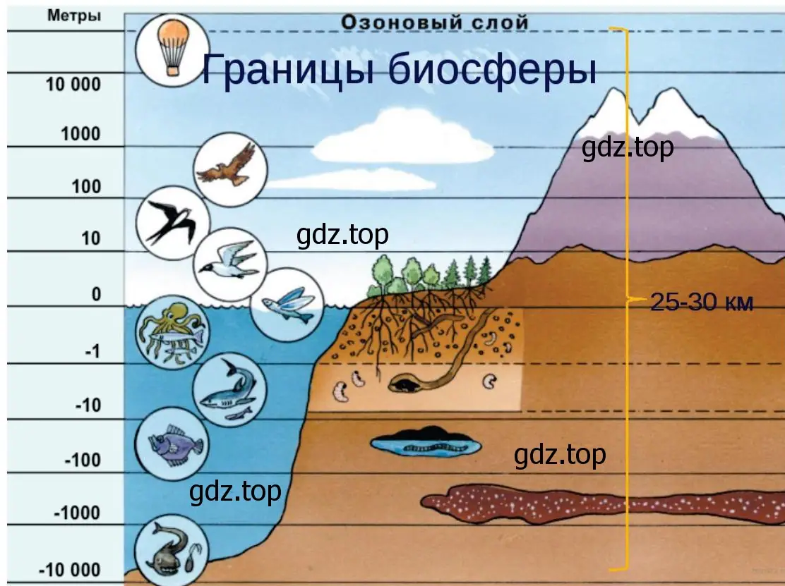 Схема границы биосферы