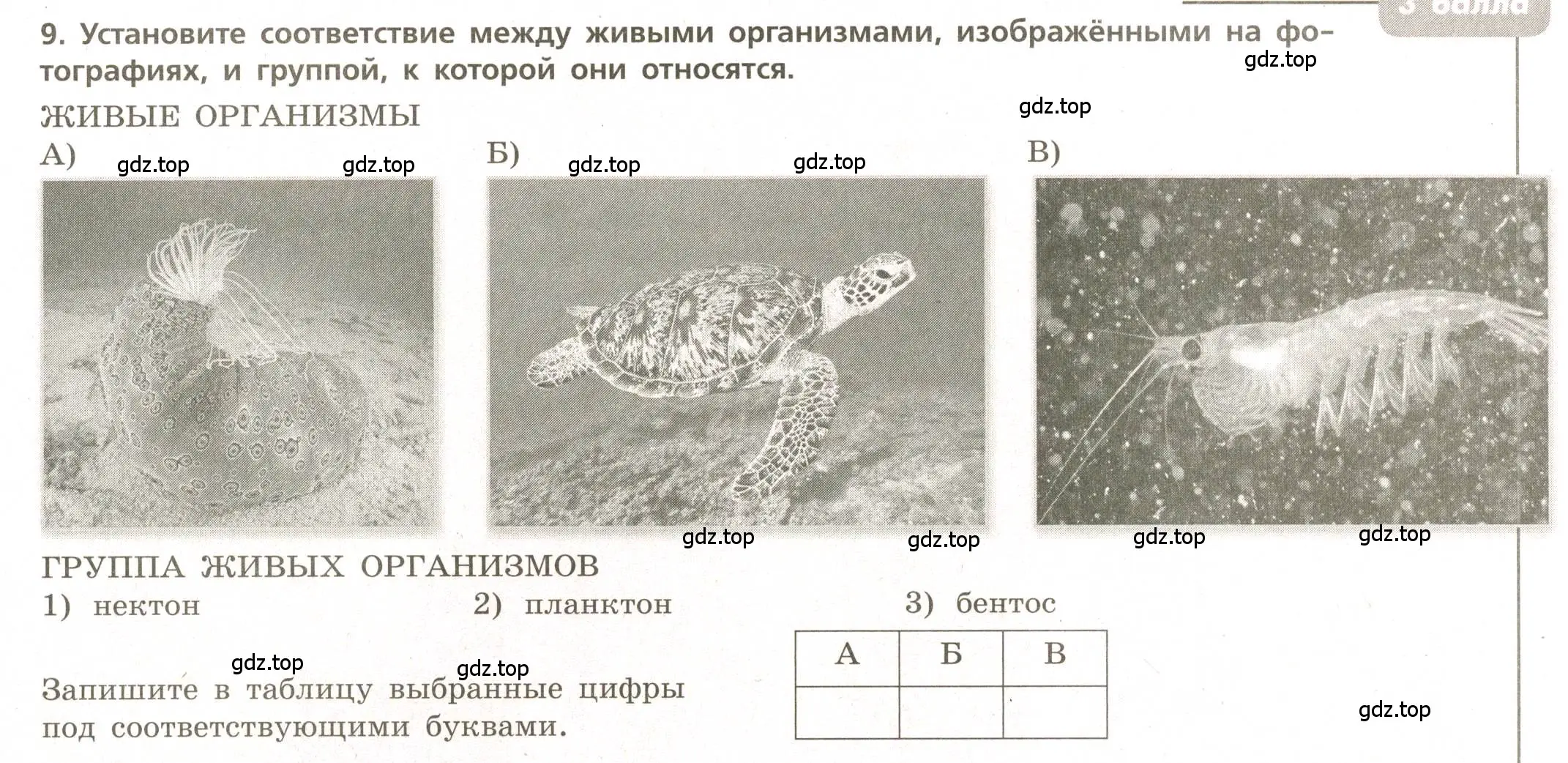 Условие номер 9 (страница 47) гдз по географии 5-6 класс Бондарева, Шидловский, проверочные работы