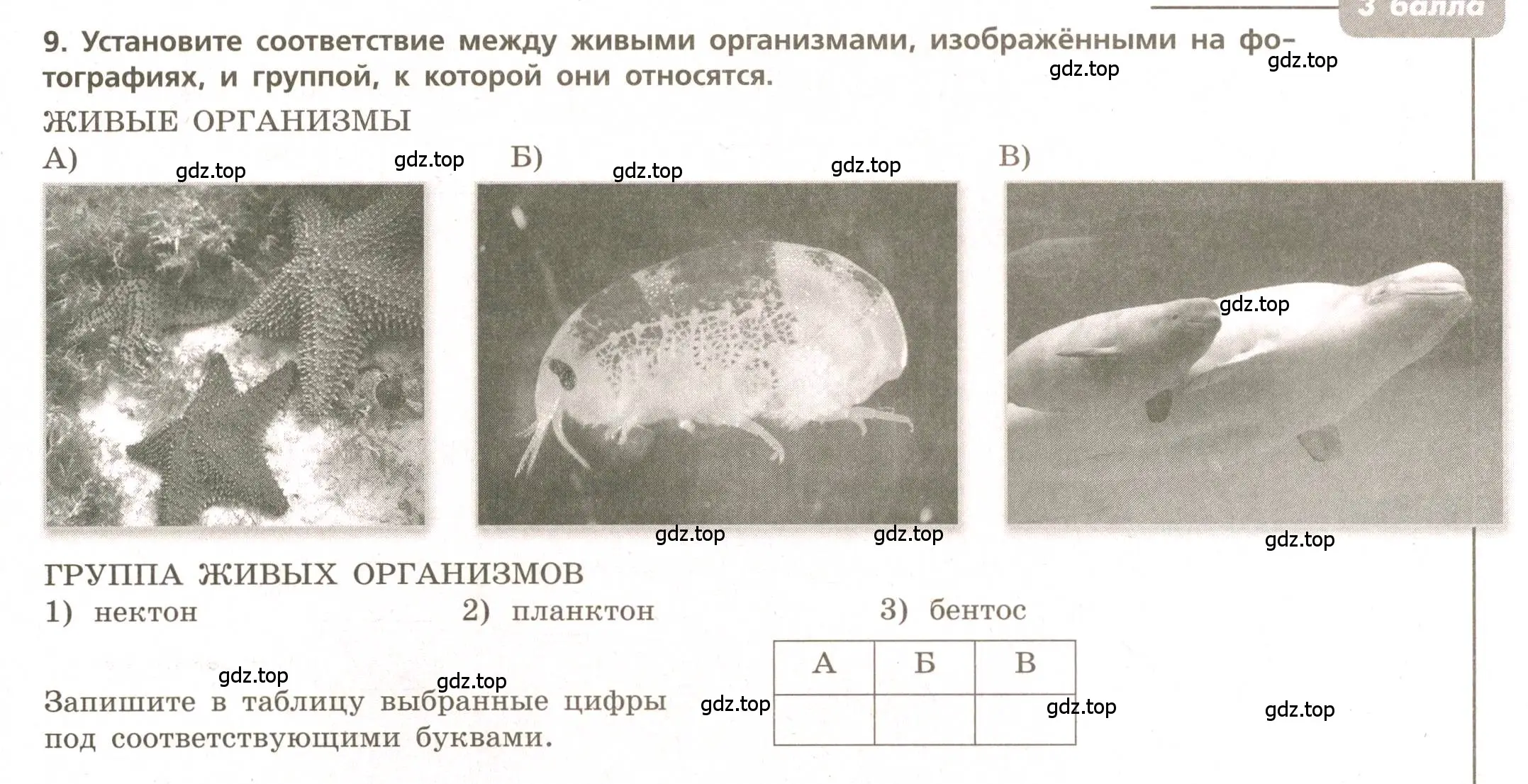 Условие номер 9 (страница 49) гдз по географии 5-6 класс Бондарева, Шидловский, проверочные работы