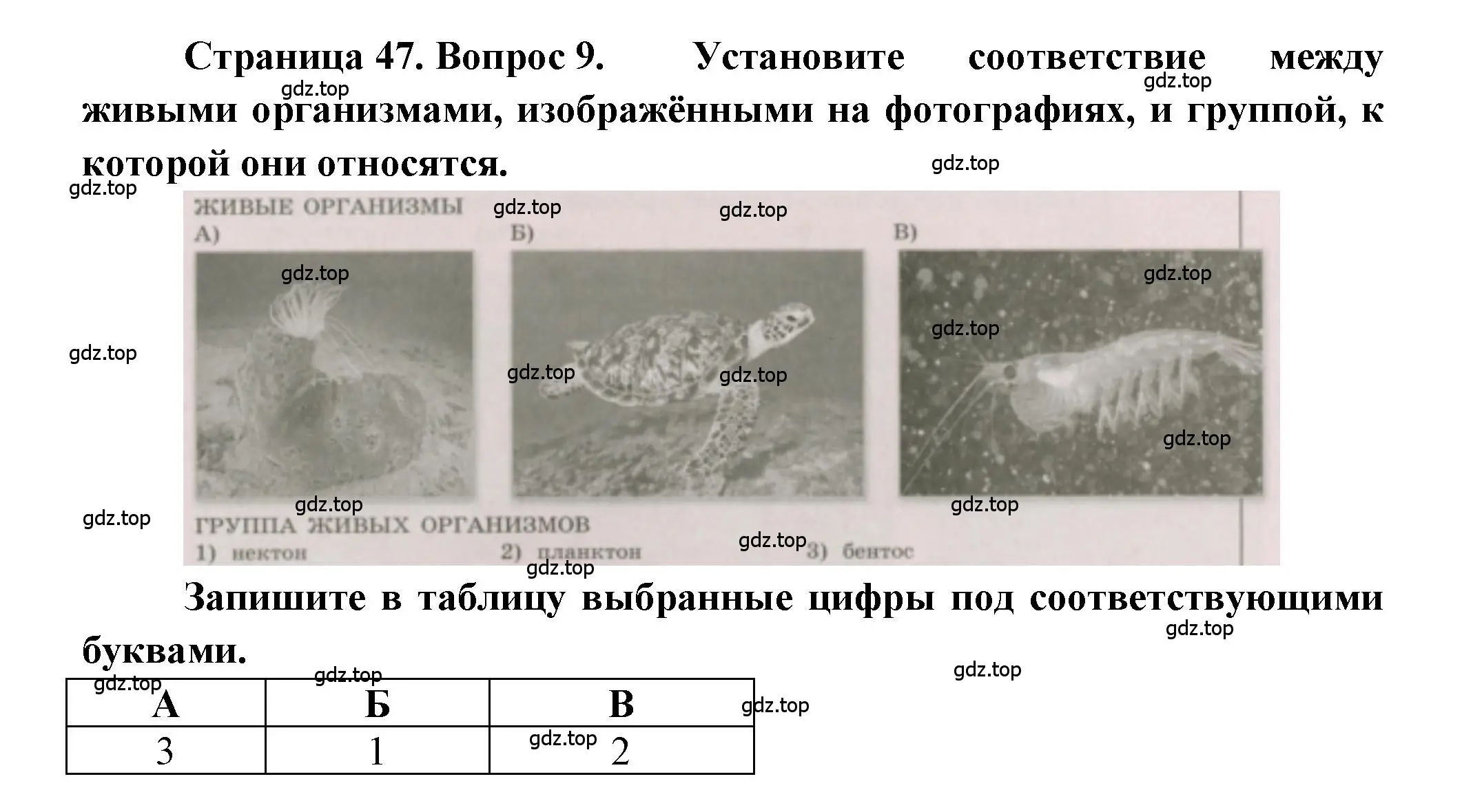 Решение номер 9 (страница 47) гдз по географии 5-6 класс Бондарева, Шидловский, проверочные работы