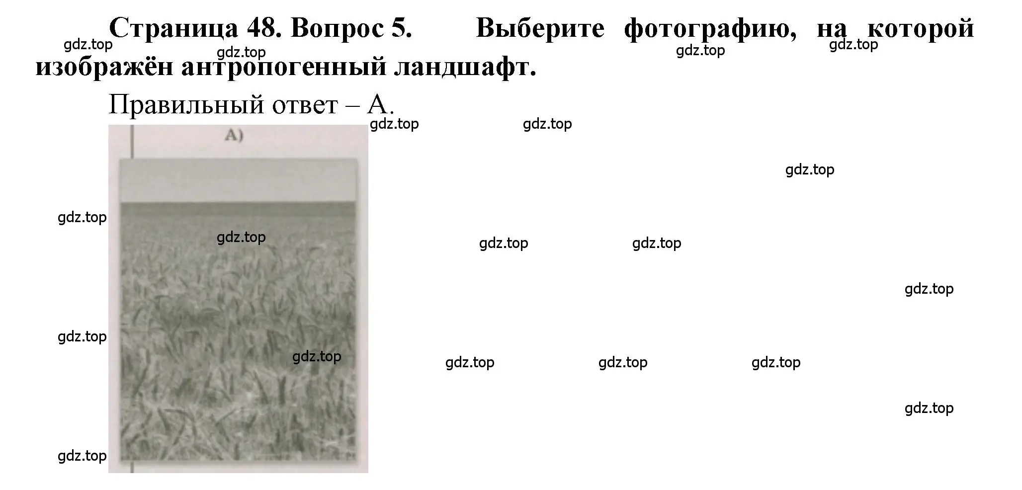 Решение номер 5 (страница 48) гдз по географии 5-6 класс Бондарева, Шидловский, проверочные работы