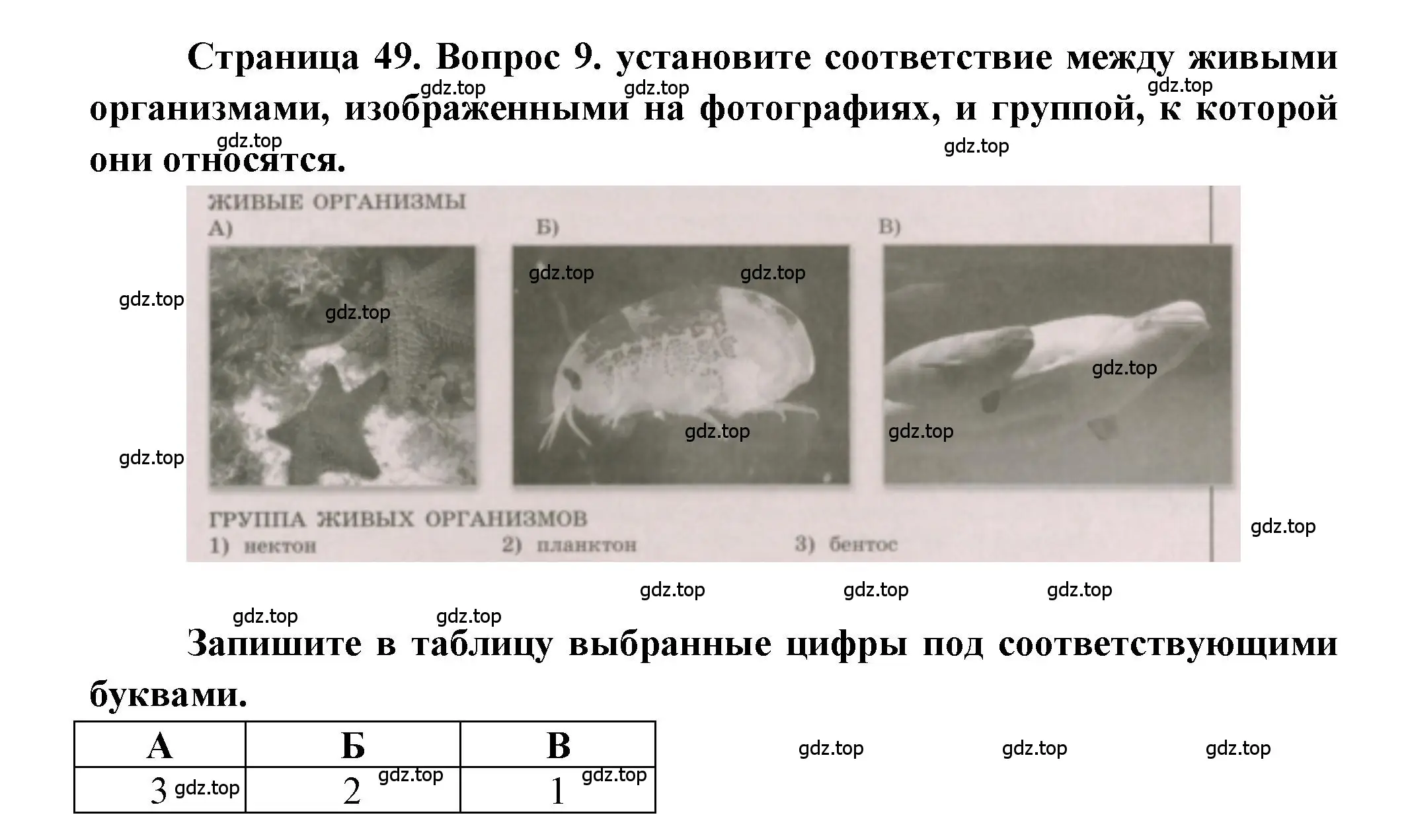 Решение номер 9 (страница 49) гдз по географии 5-6 класс Бондарева, Шидловский, проверочные работы