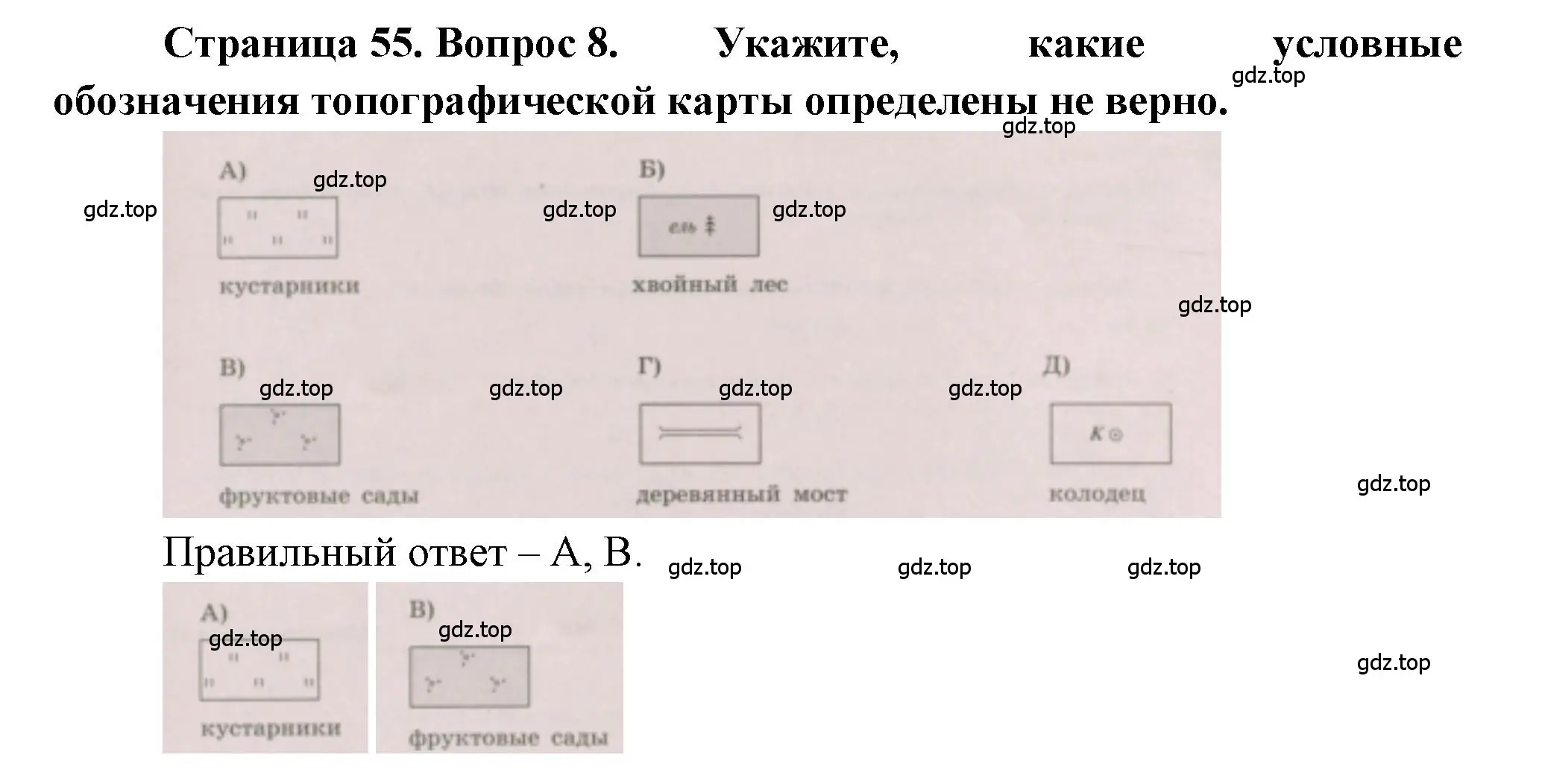 Решение номер 8 (страница 55) гдз по географии 5-6 класс Бондарева, Шидловский, проверочные работы