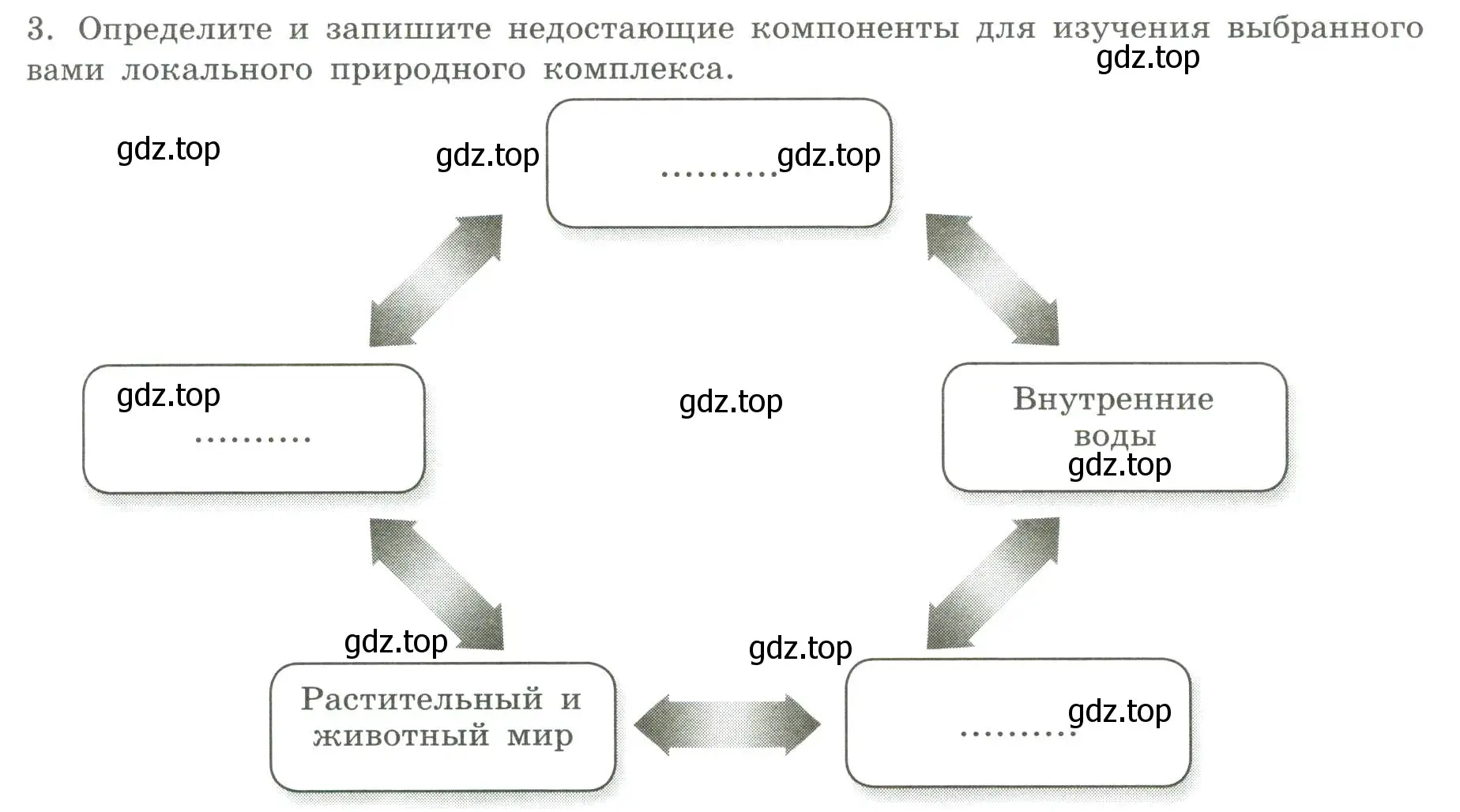 Условие номер 3 (страница 31) гдз по географии 5 класс Дубинина, практические работы