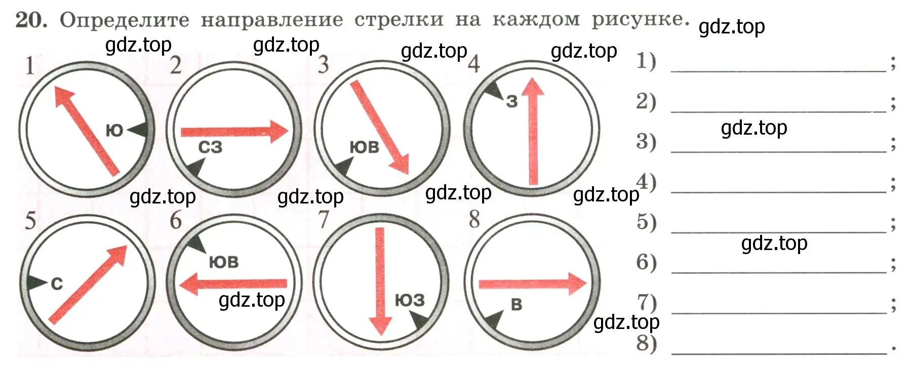 Условие номер 20 (страница 21) гдз по географии 5-6 класс Николина, мой тренажёр