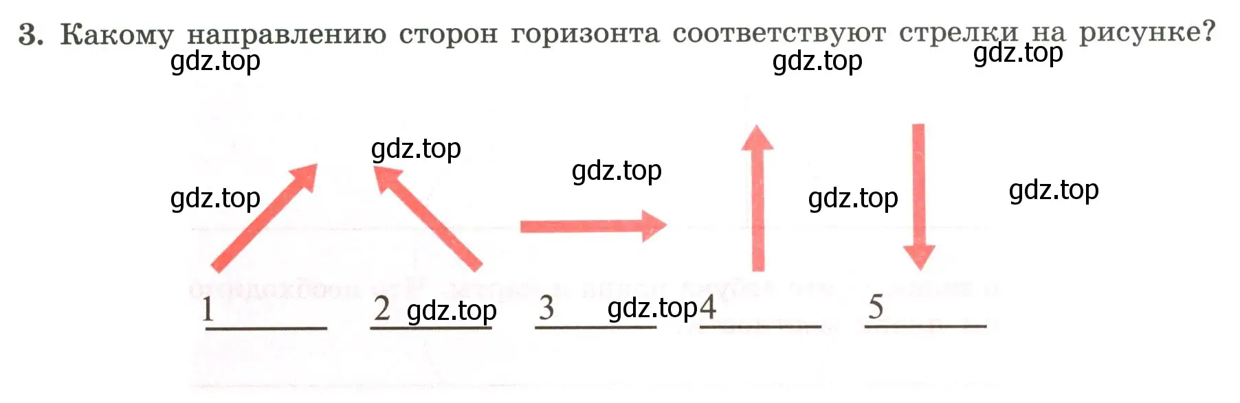 Условие номер 3 (страница 17) гдз по географии 5-6 класс Николина, мой тренажёр