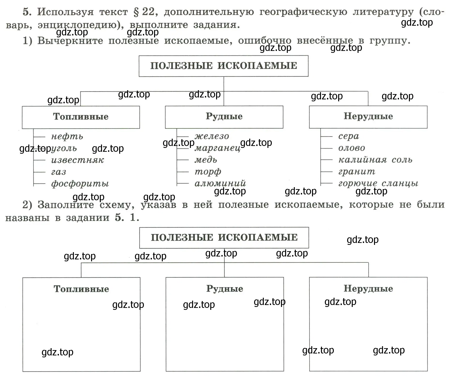 Условие номер 5 (страница 31) гдз по географии 5-6 класс Николина, мой тренажёр