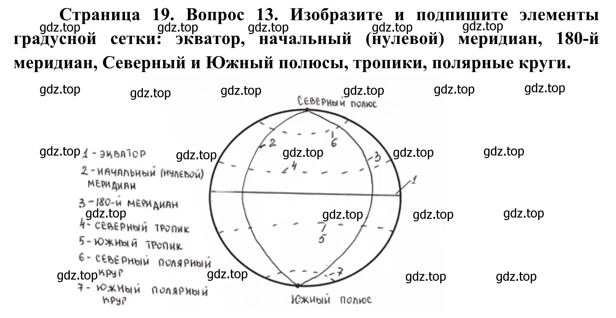 Решение номер 13 (страница 19) гдз по географии 5-6 класс Николина, мой тренажёр