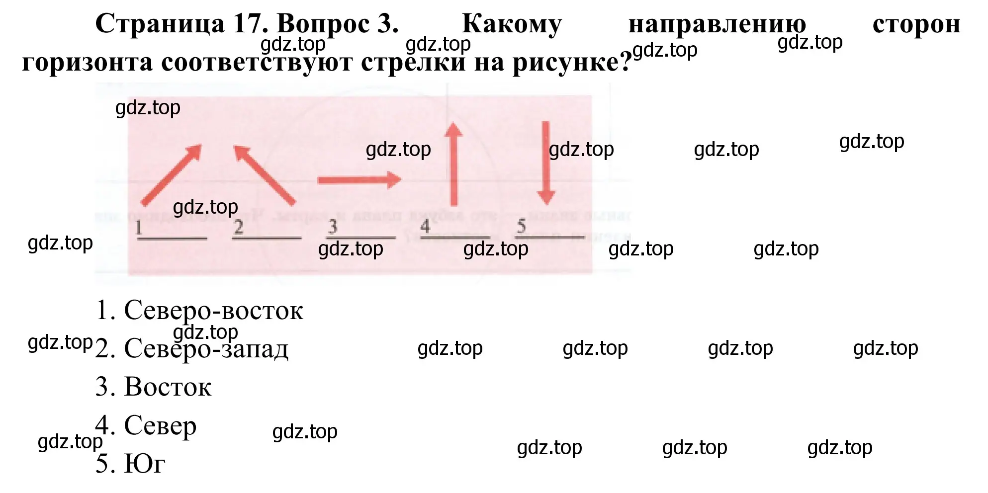 Решение номер 3 (страница 17) гдз по географии 5-6 класс Николина, мой тренажёр