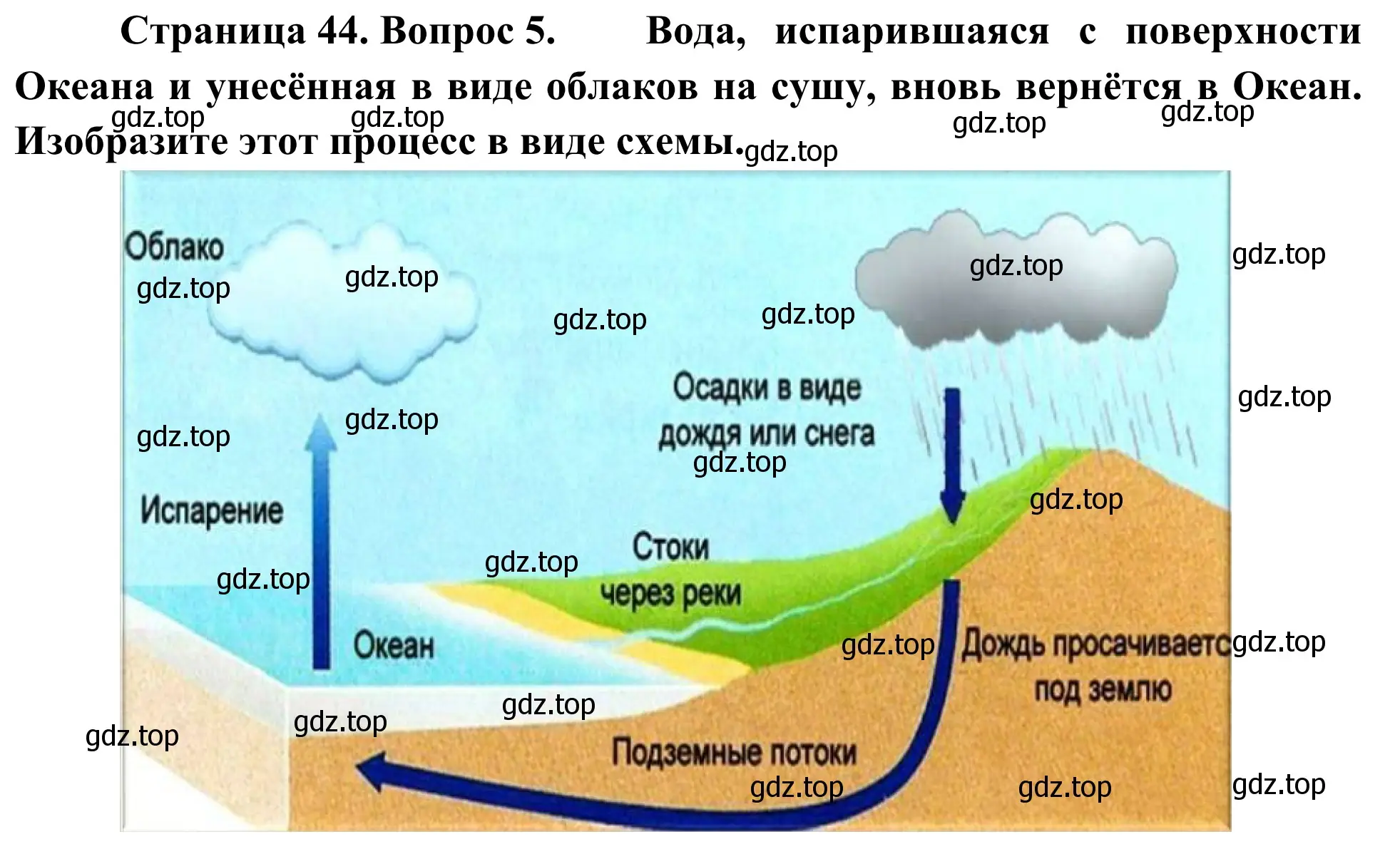 Решение номер 5 (страница 44) гдз по географии 5-6 класс Николина, мой тренажёр