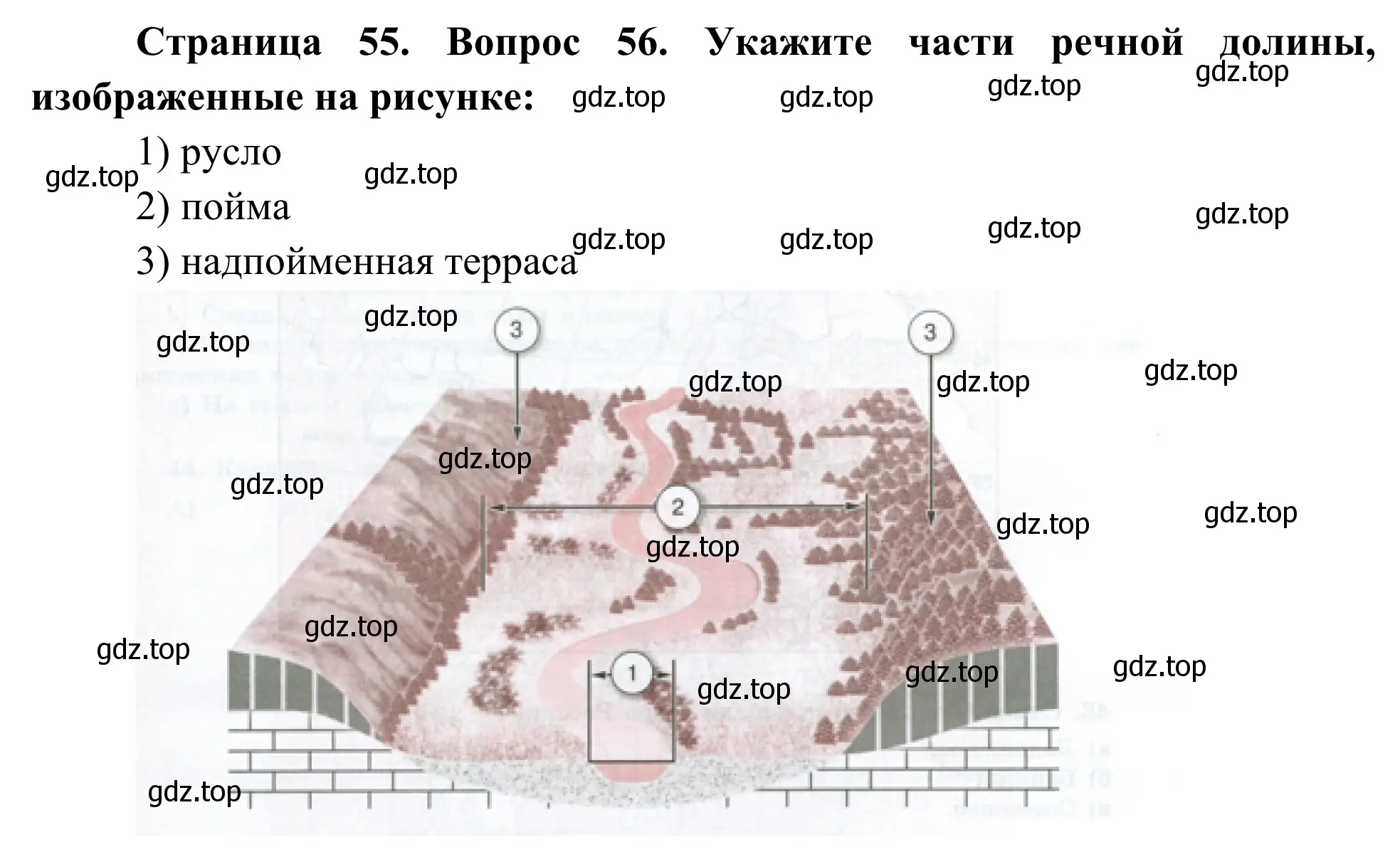 Решение номер 51 (страница 56) гдз по географии 5-6 класс Николина, мой тренажёр