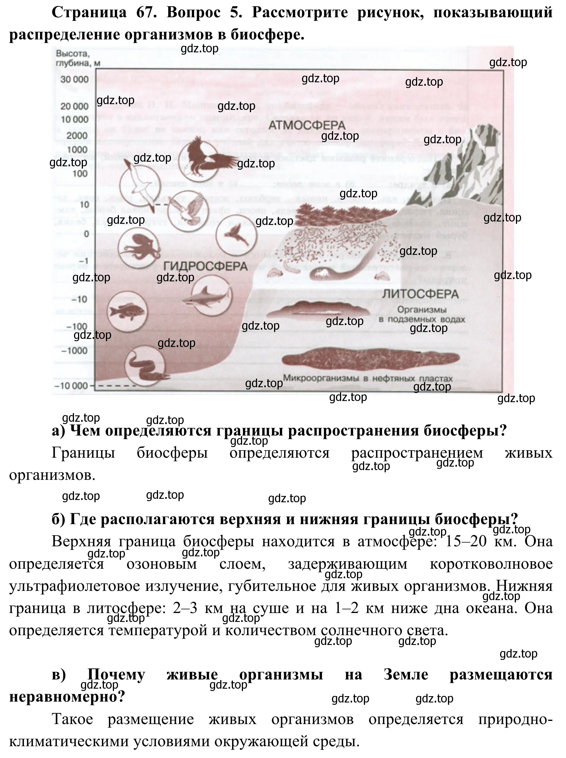 Решение номер 5 (страница 67) гдз по географии 5-6 класс Николина, мой тренажёр