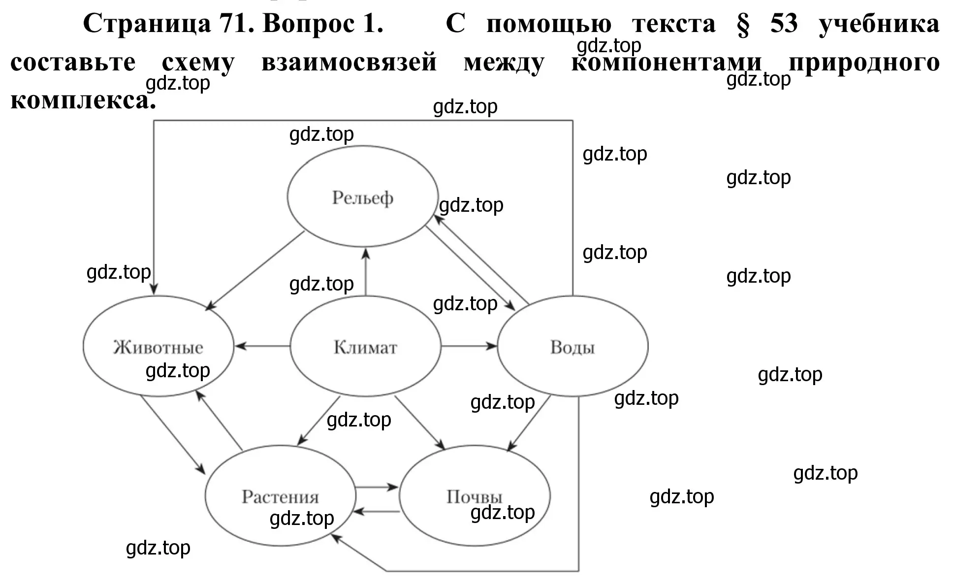 Решение номер 1 (страница 71) гдз по географии 5-6 класс Николина, мой тренажёр