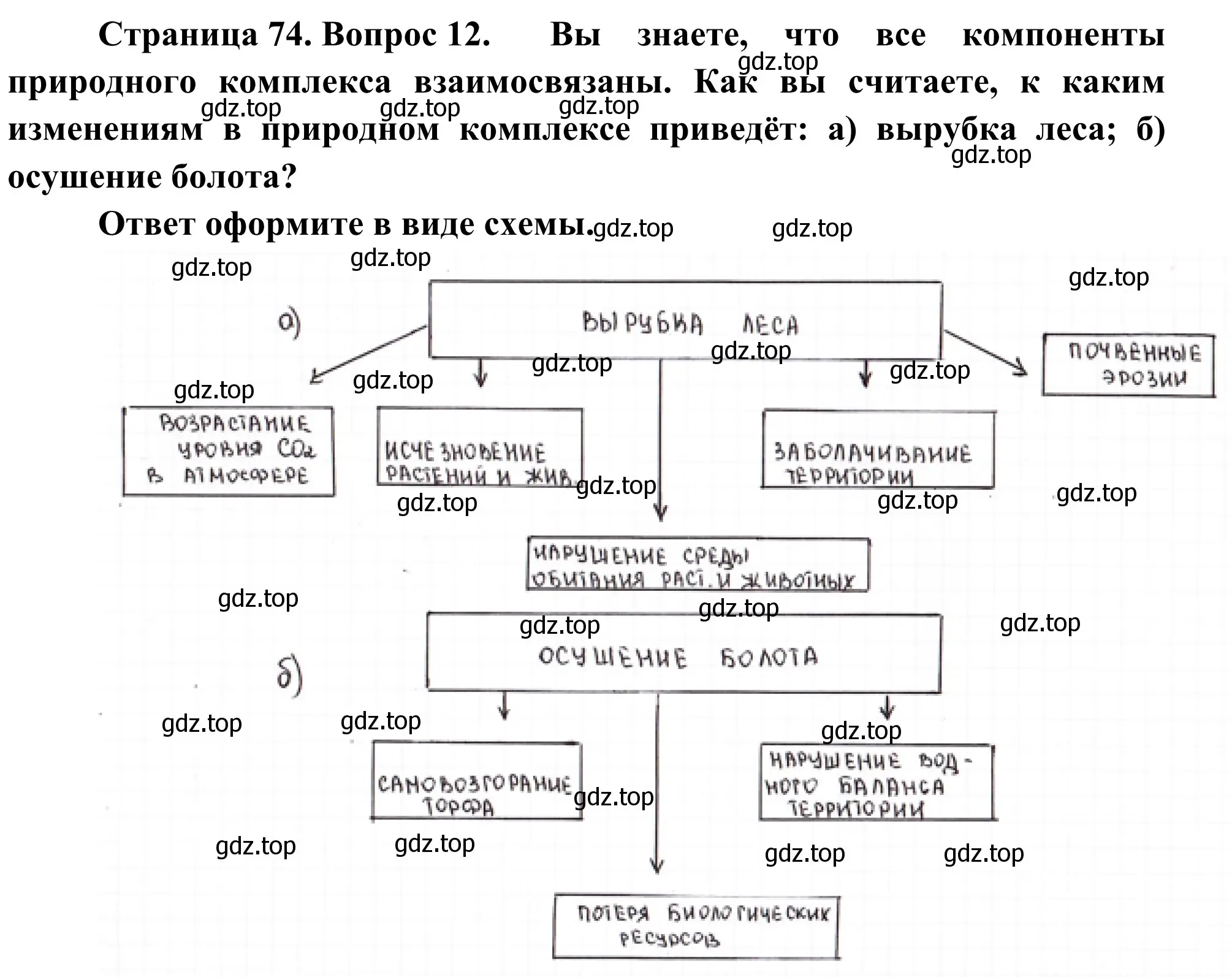 Решение номер 12 (страница 74) гдз по географии 5-6 класс Николина, мой тренажёр