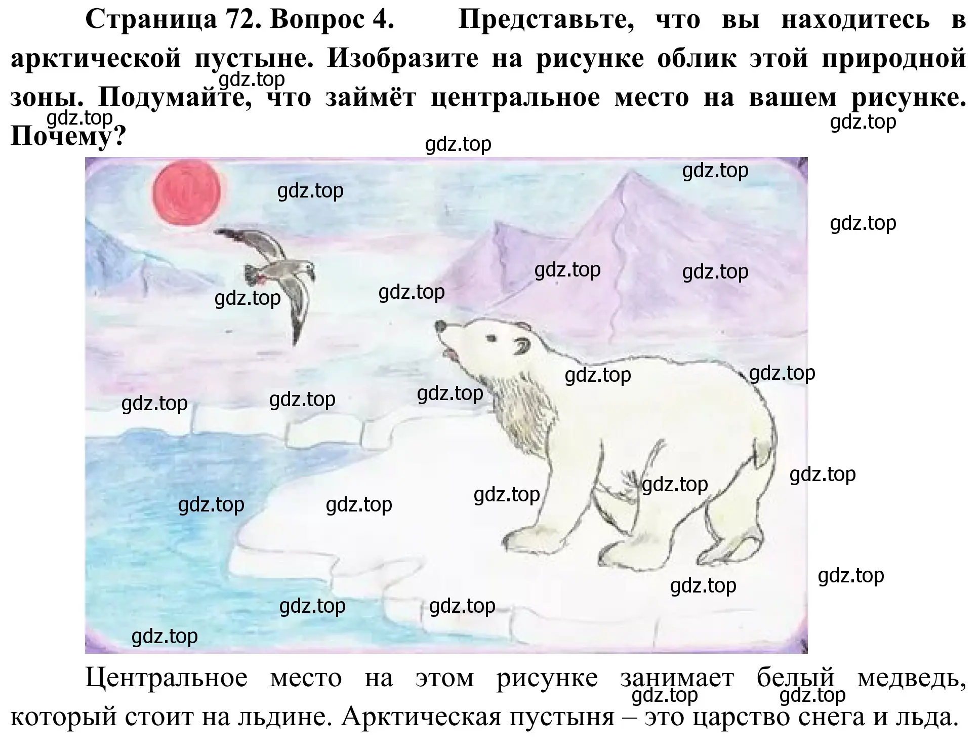 Решение номер 4 (страница 72) гдз по географии 5-6 класс Николина, мой тренажёр